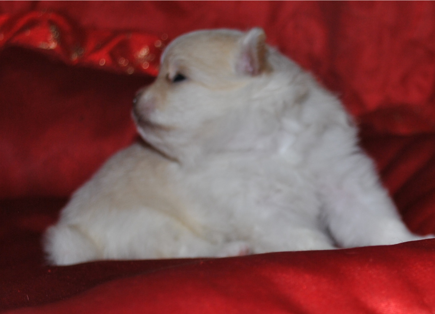 DSC_0752.jpg