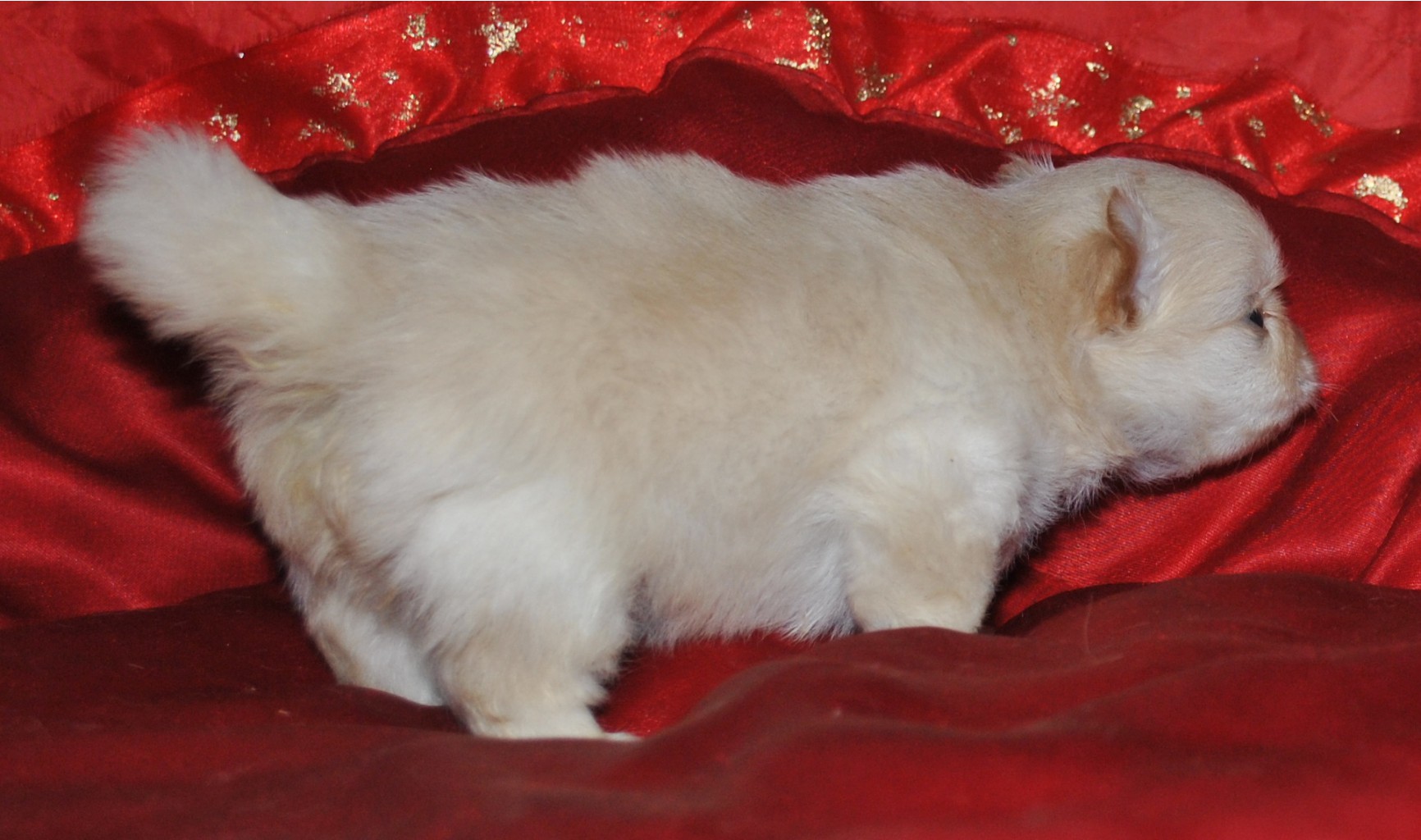 DSC_0762.jpg