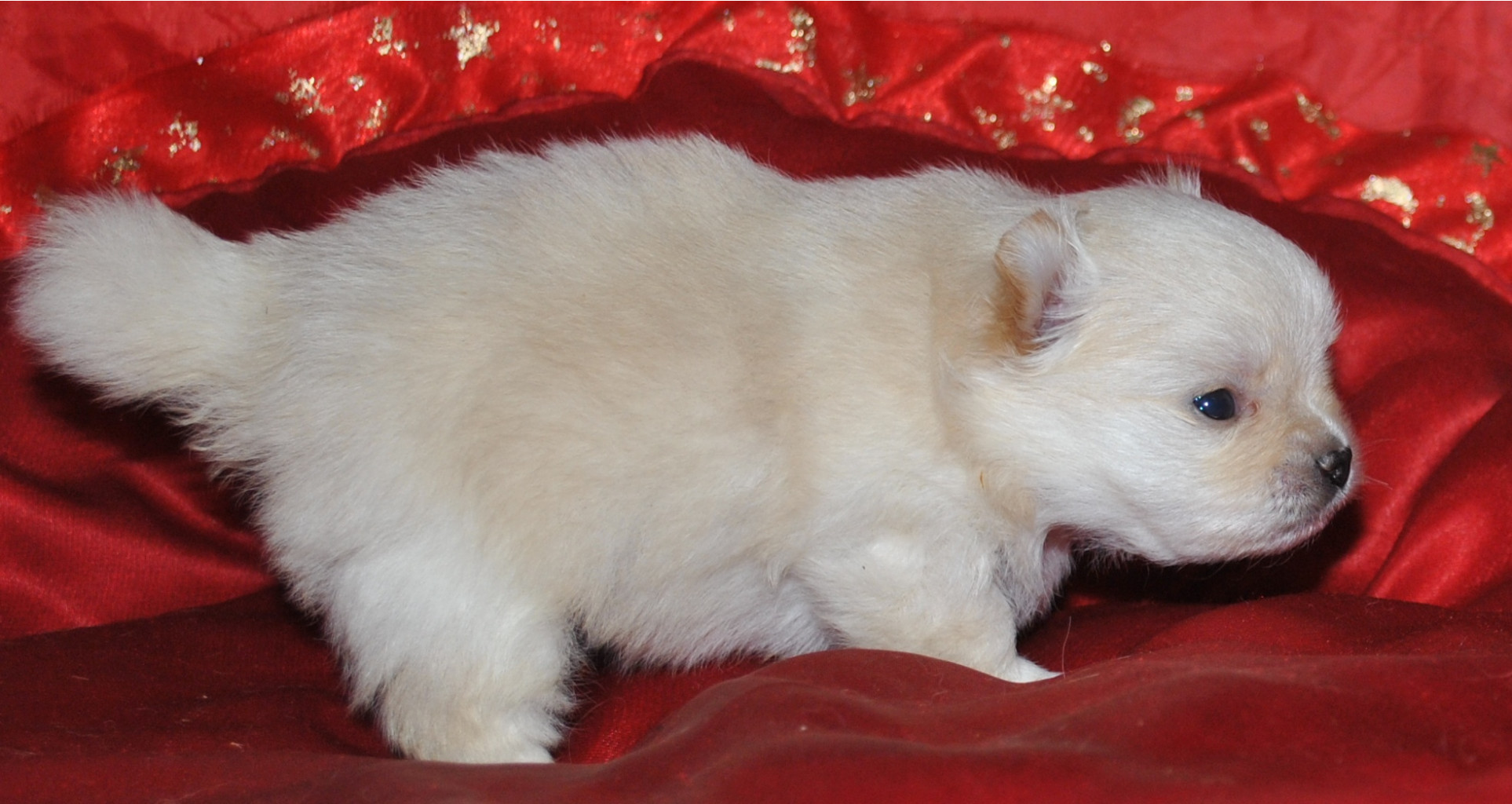 DSC_0763.jpg