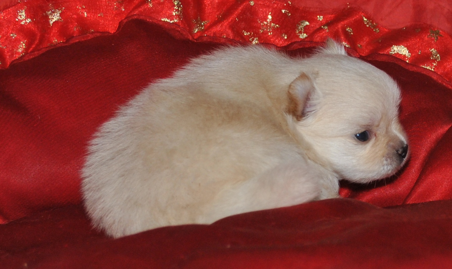DSC_0770.jpg