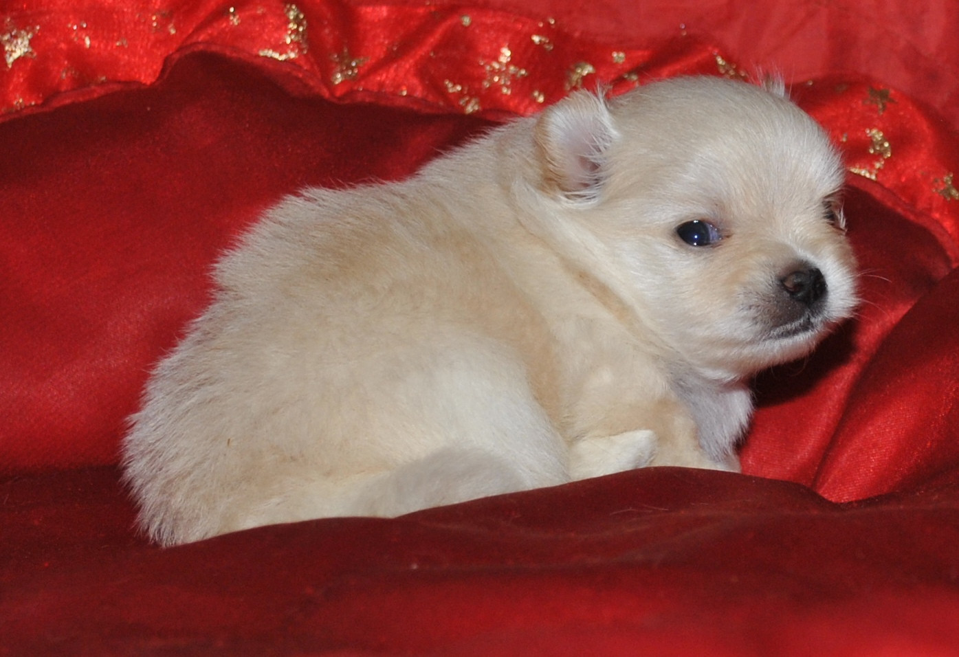 DSC_0771.jpg