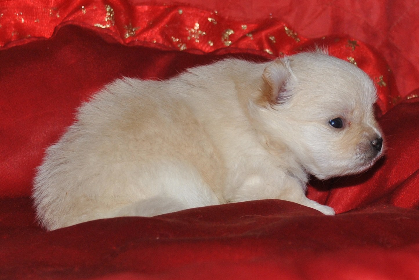 DSC_0772.jpg