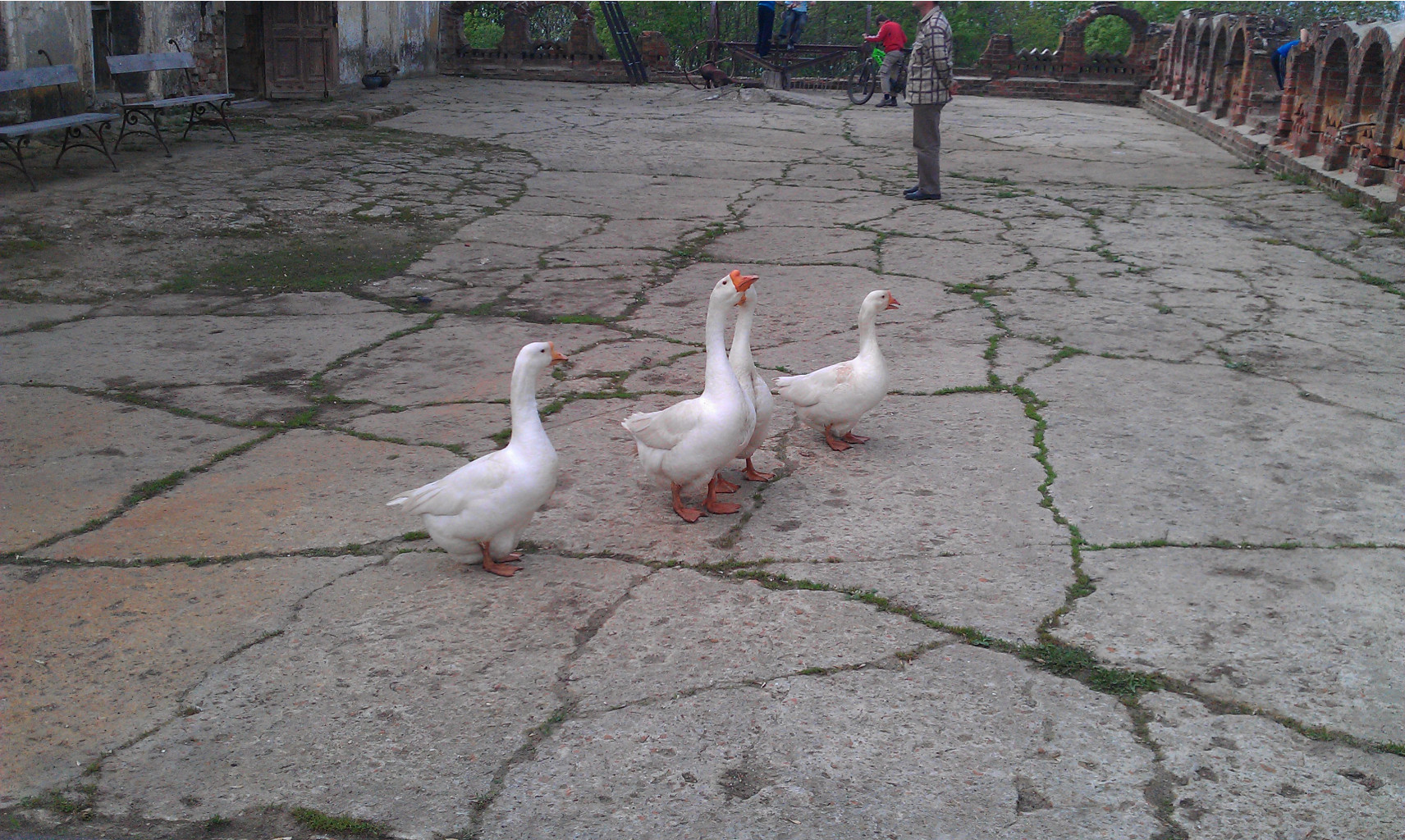 IMAG0537.jpg