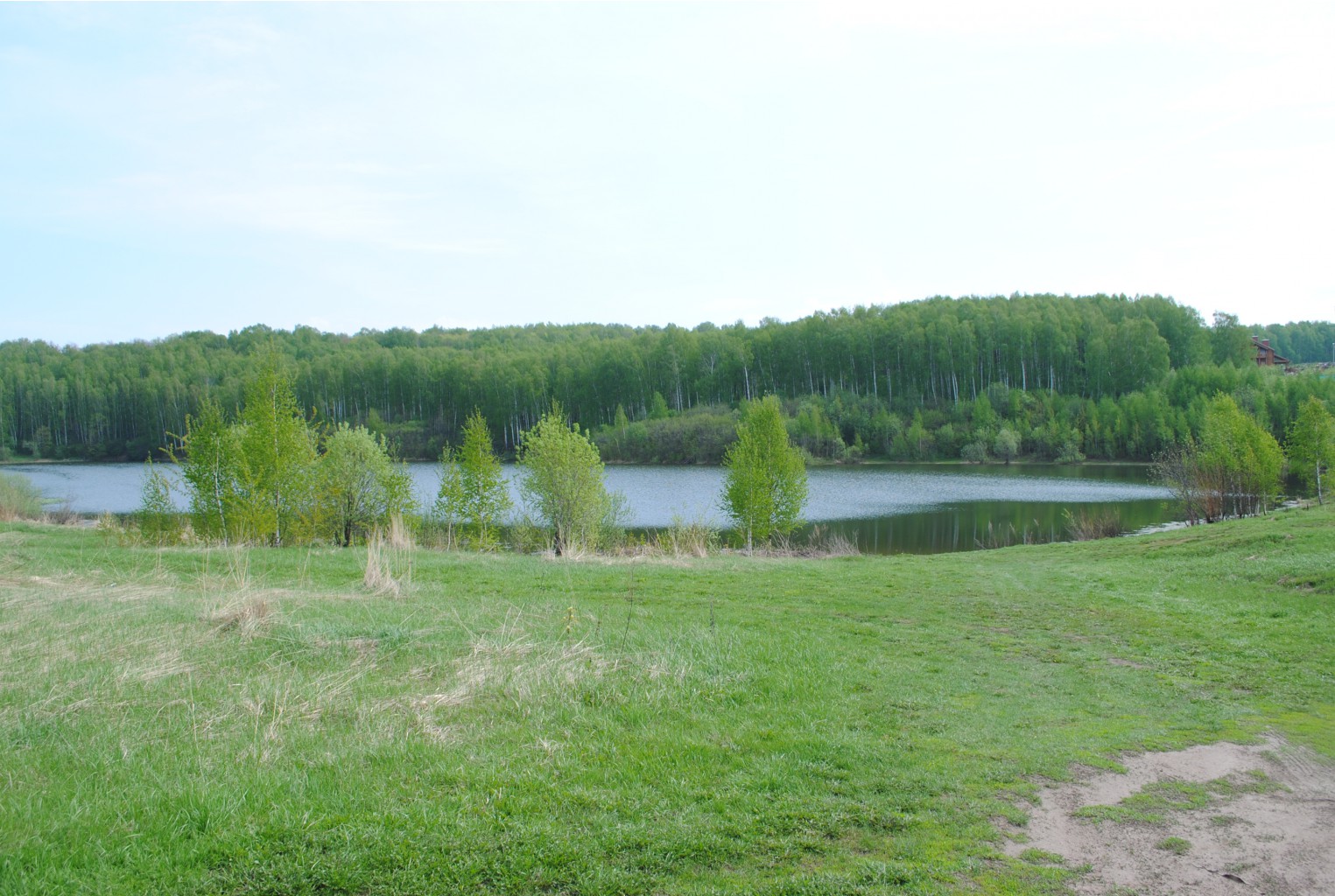 DSC_0010.jpg