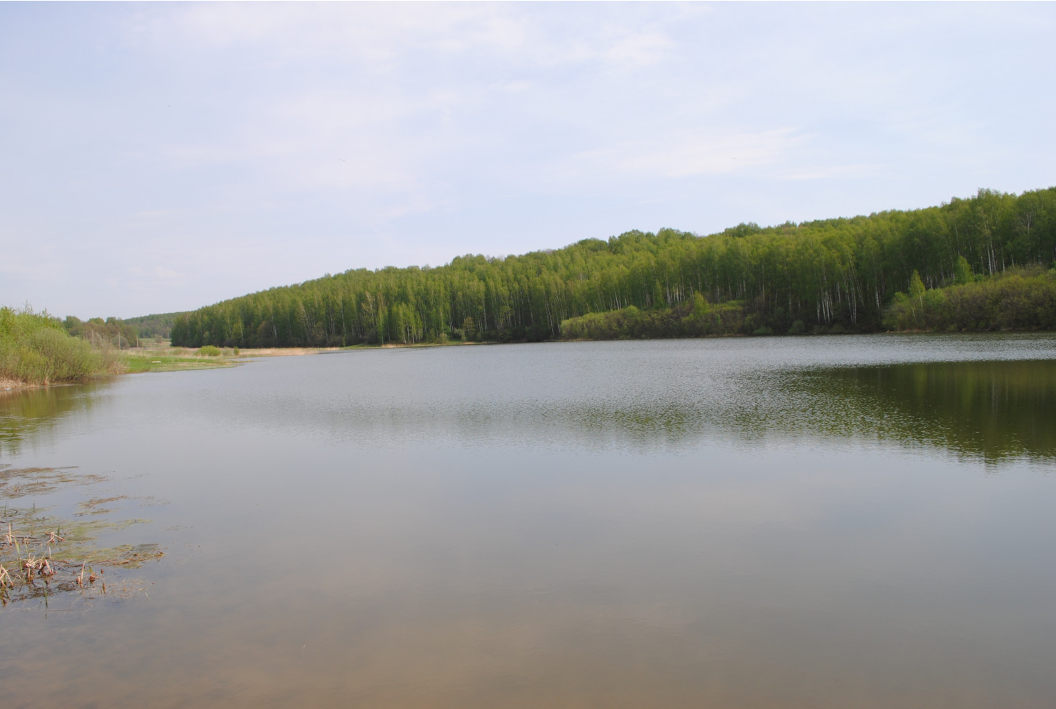 DSC_0023.jpg