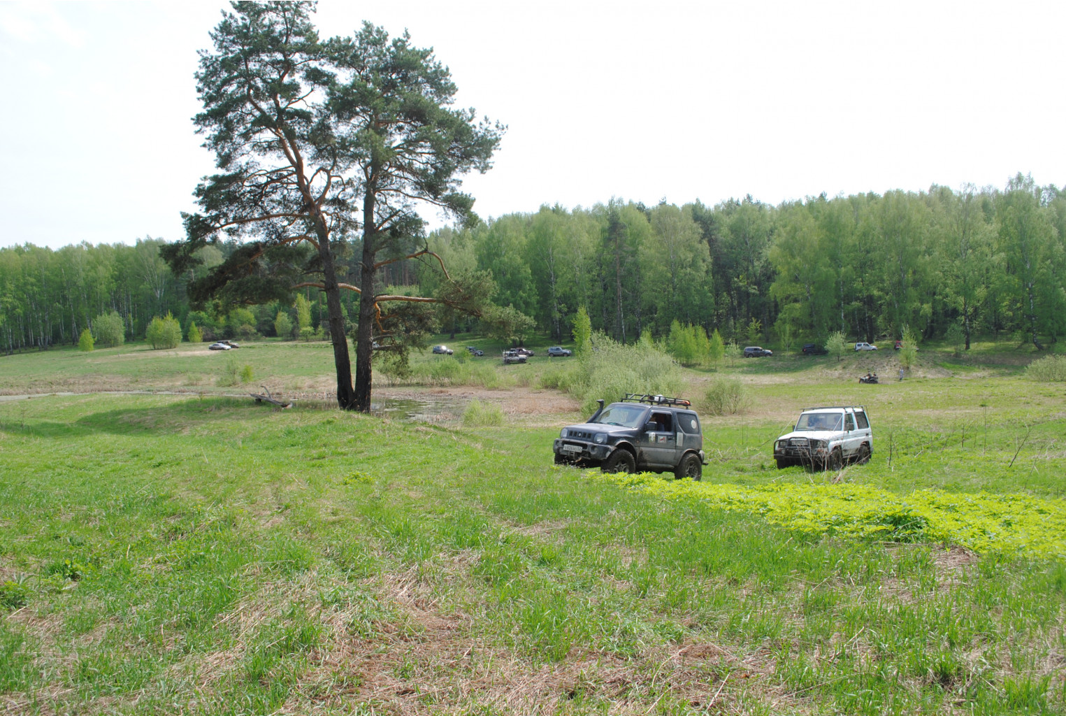 DSC_0061.jpg