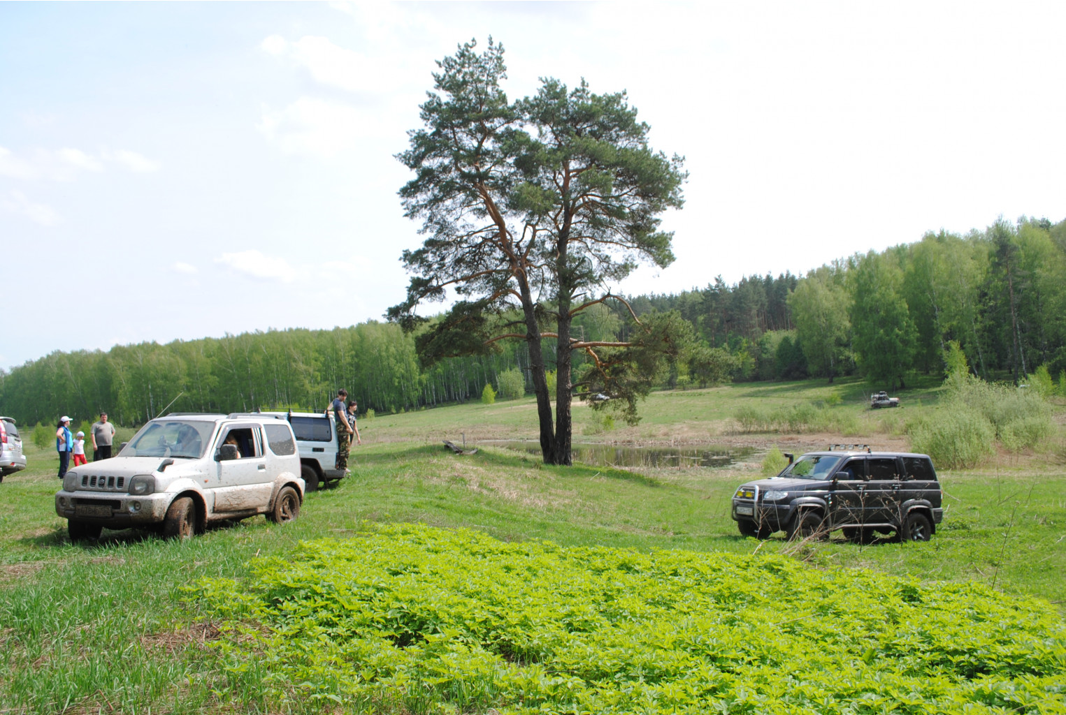 DSC_0066.jpg