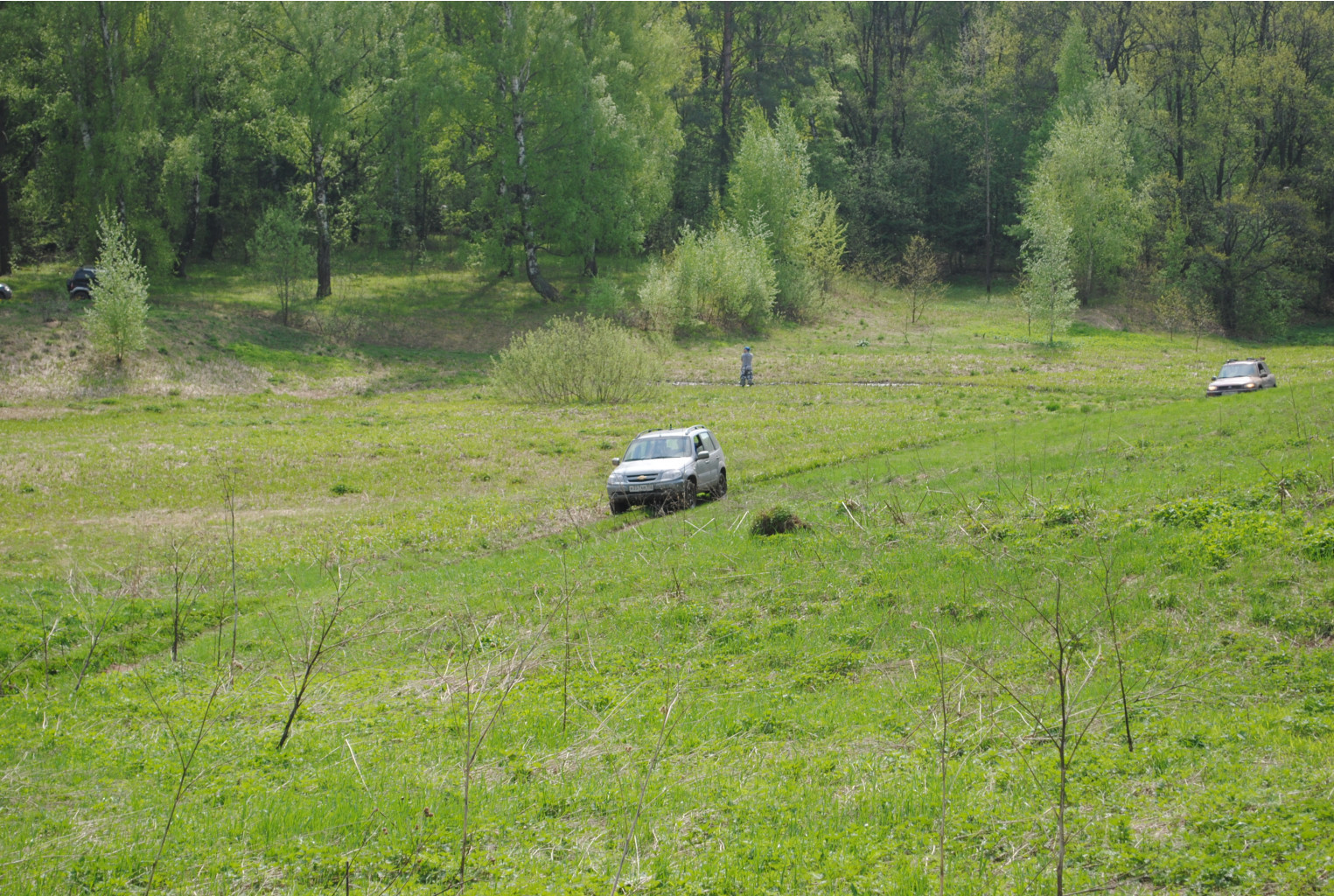 DSC_0073.jpg