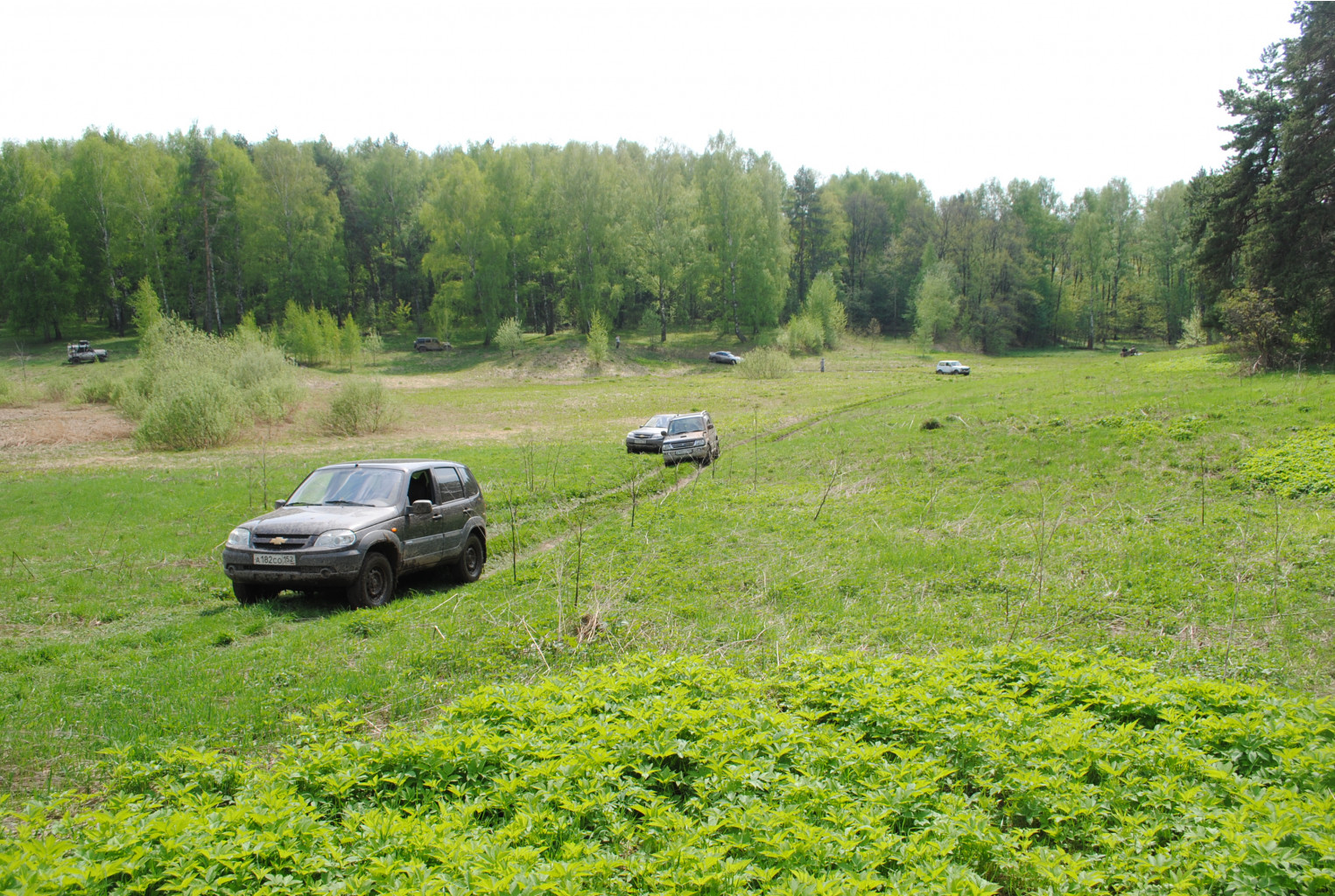 DSC_0076.jpg