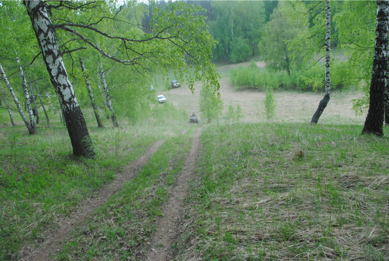 DSC_0081.jpg
