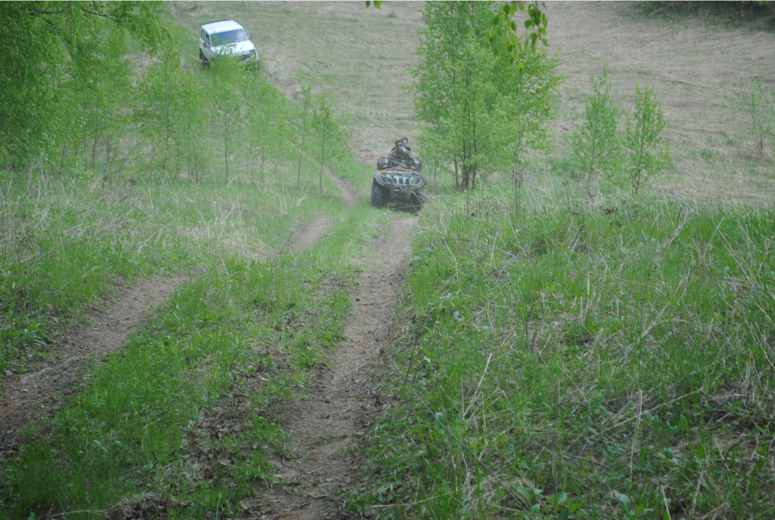 DSC_0082.jpg