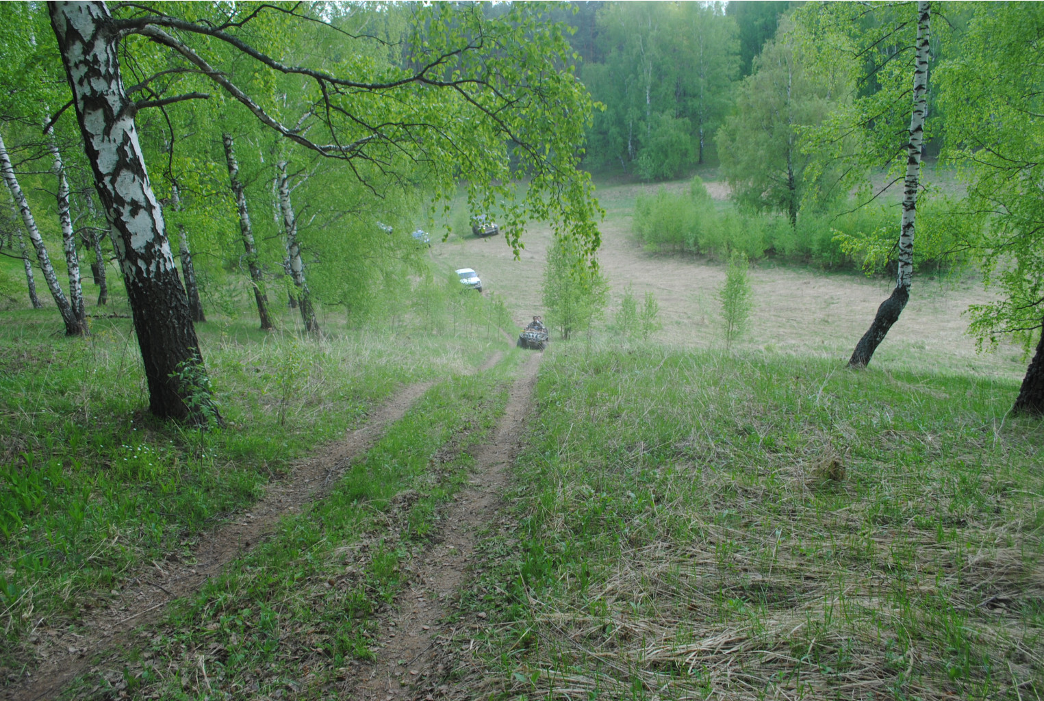 DSC_0083.jpg