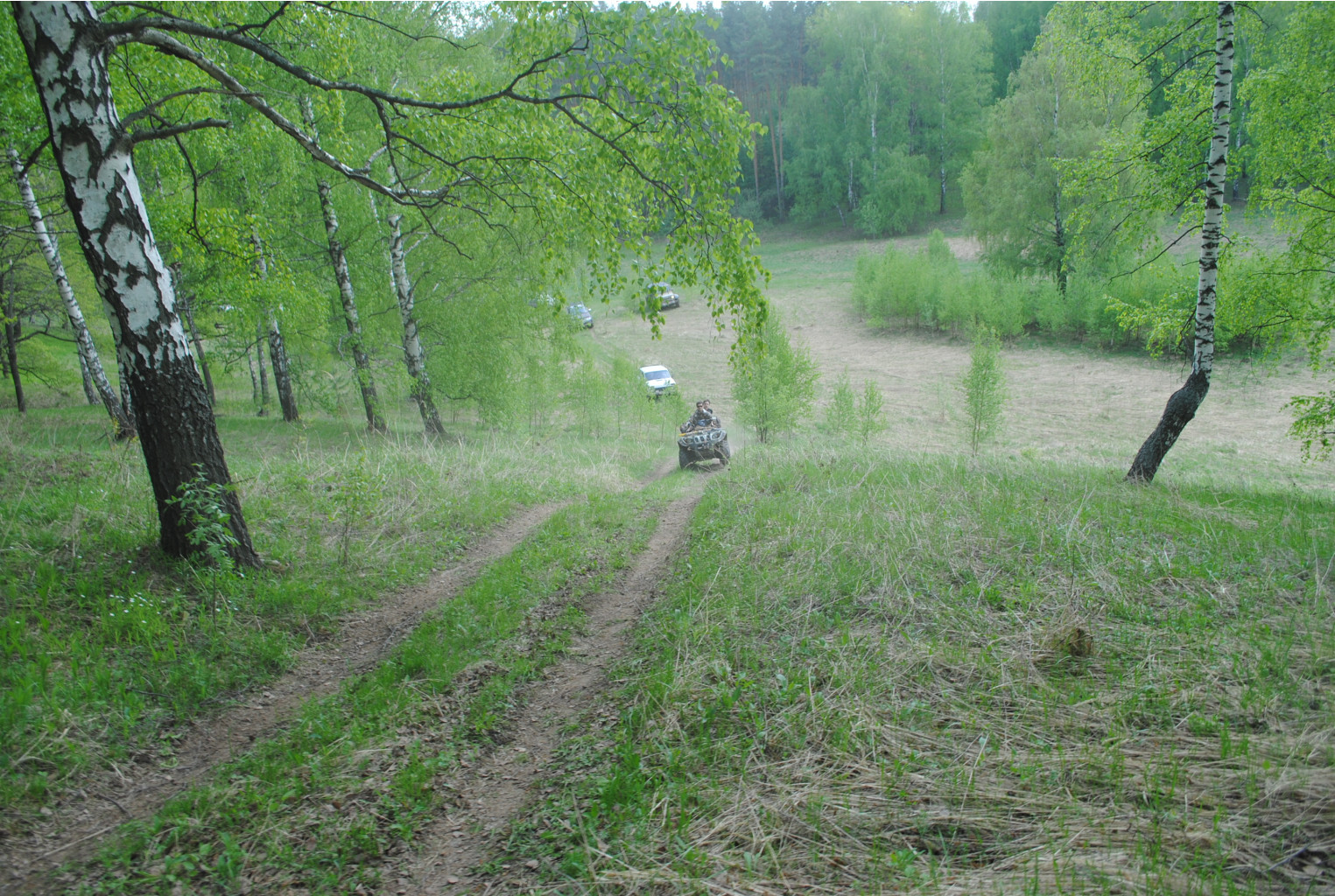 DSC_0085.jpg