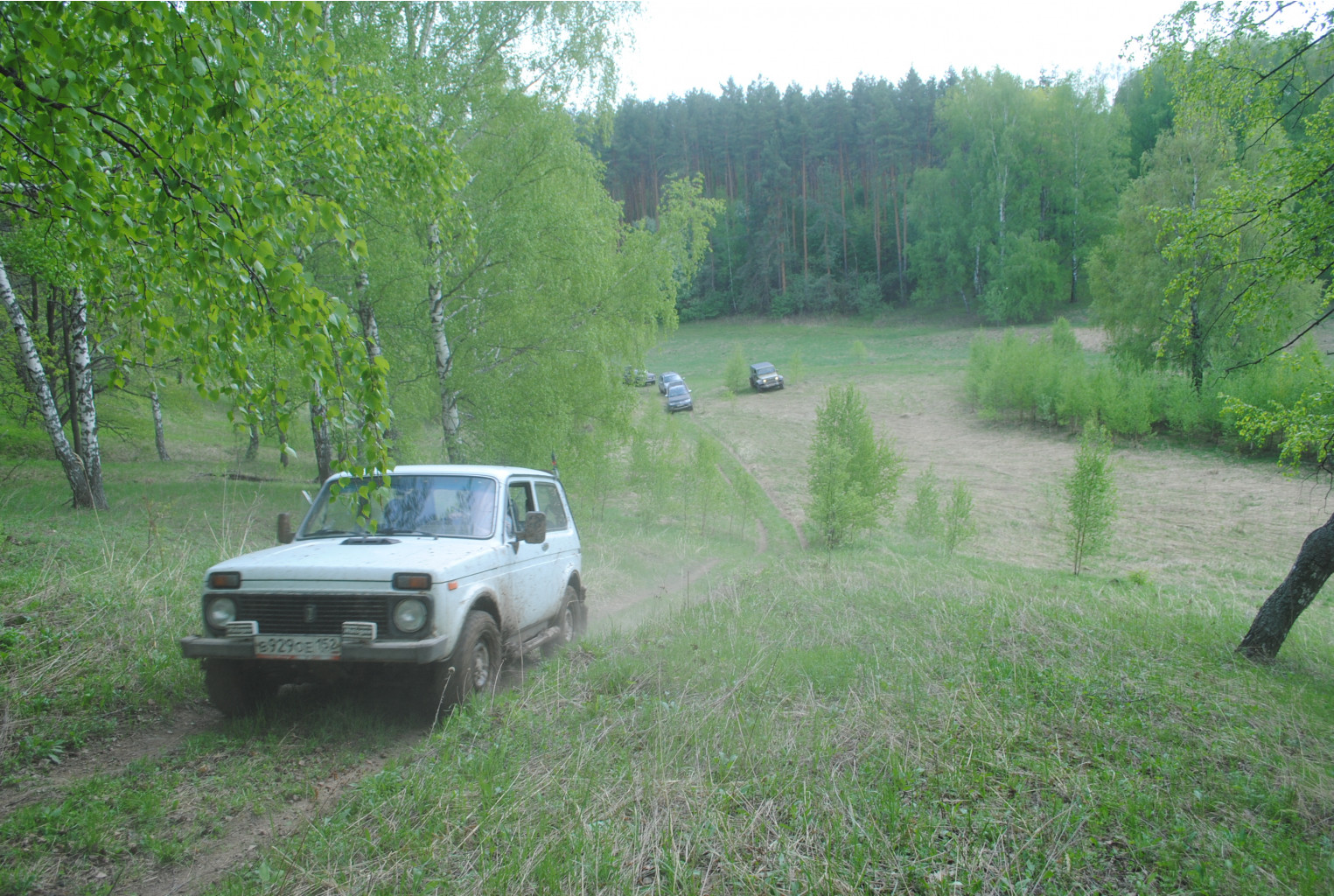 DSC_0093.jpg