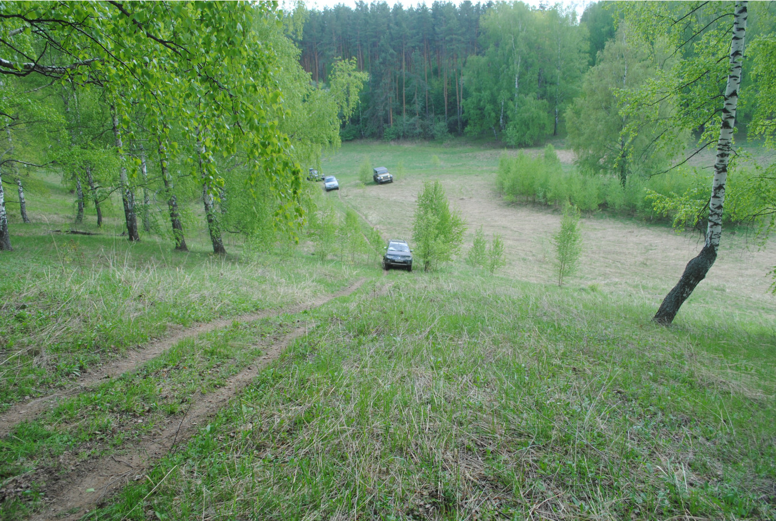 DSC_0095.jpg