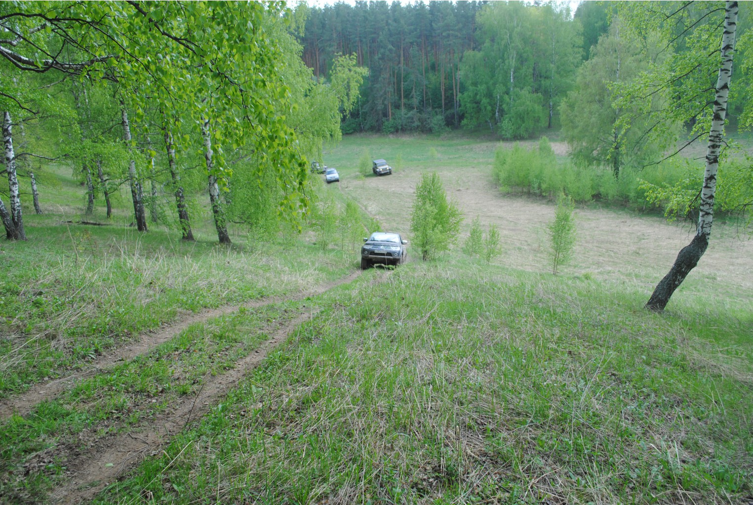 DSC_0099.jpg