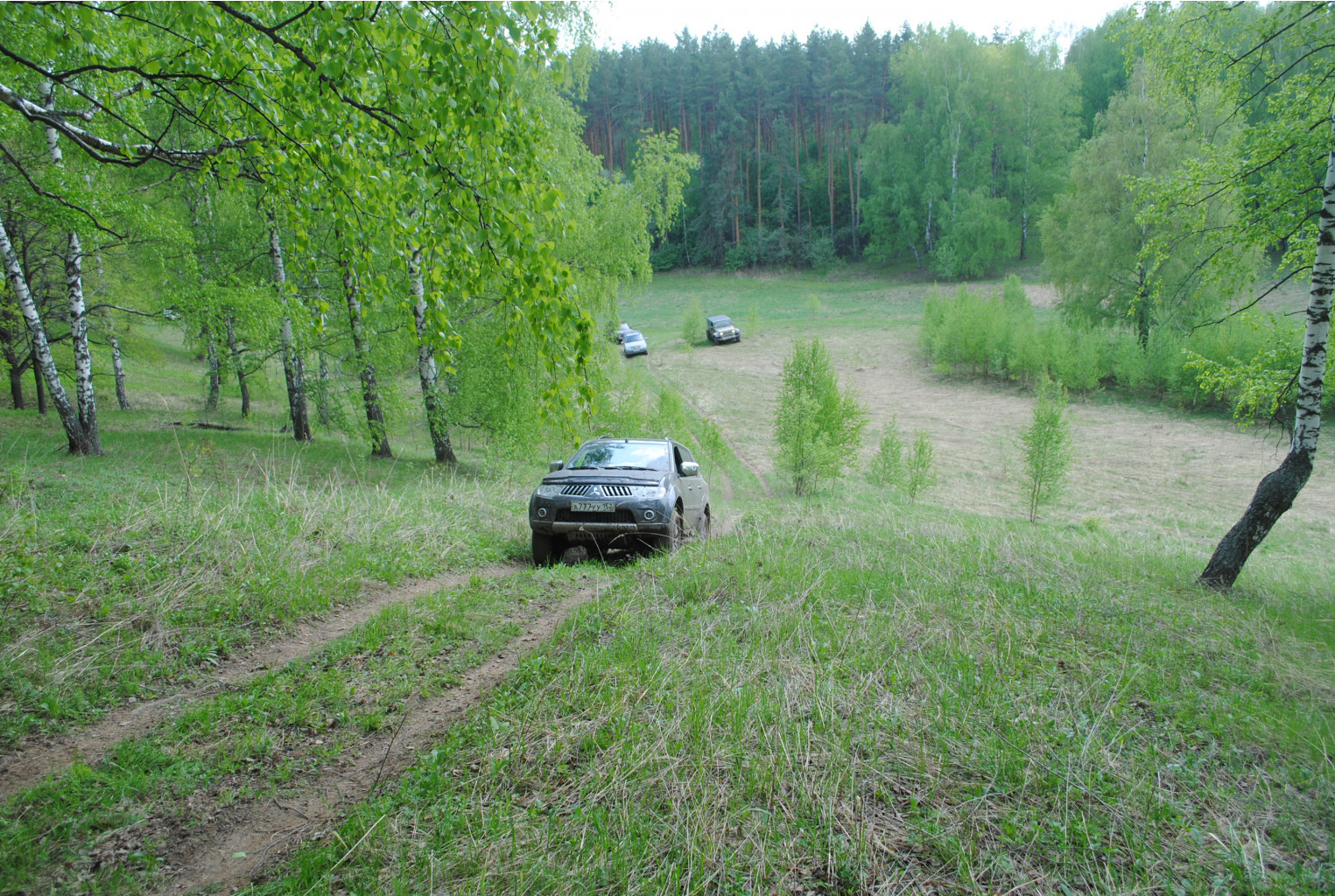 DSC_0102.jpg