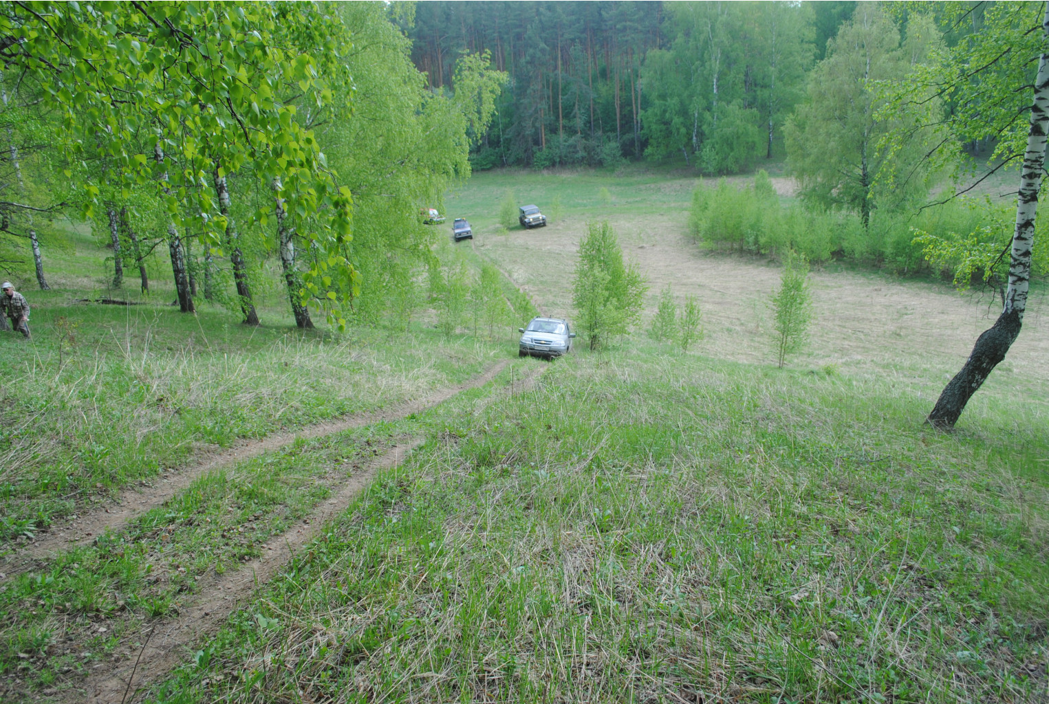 DSC_0106.jpg
