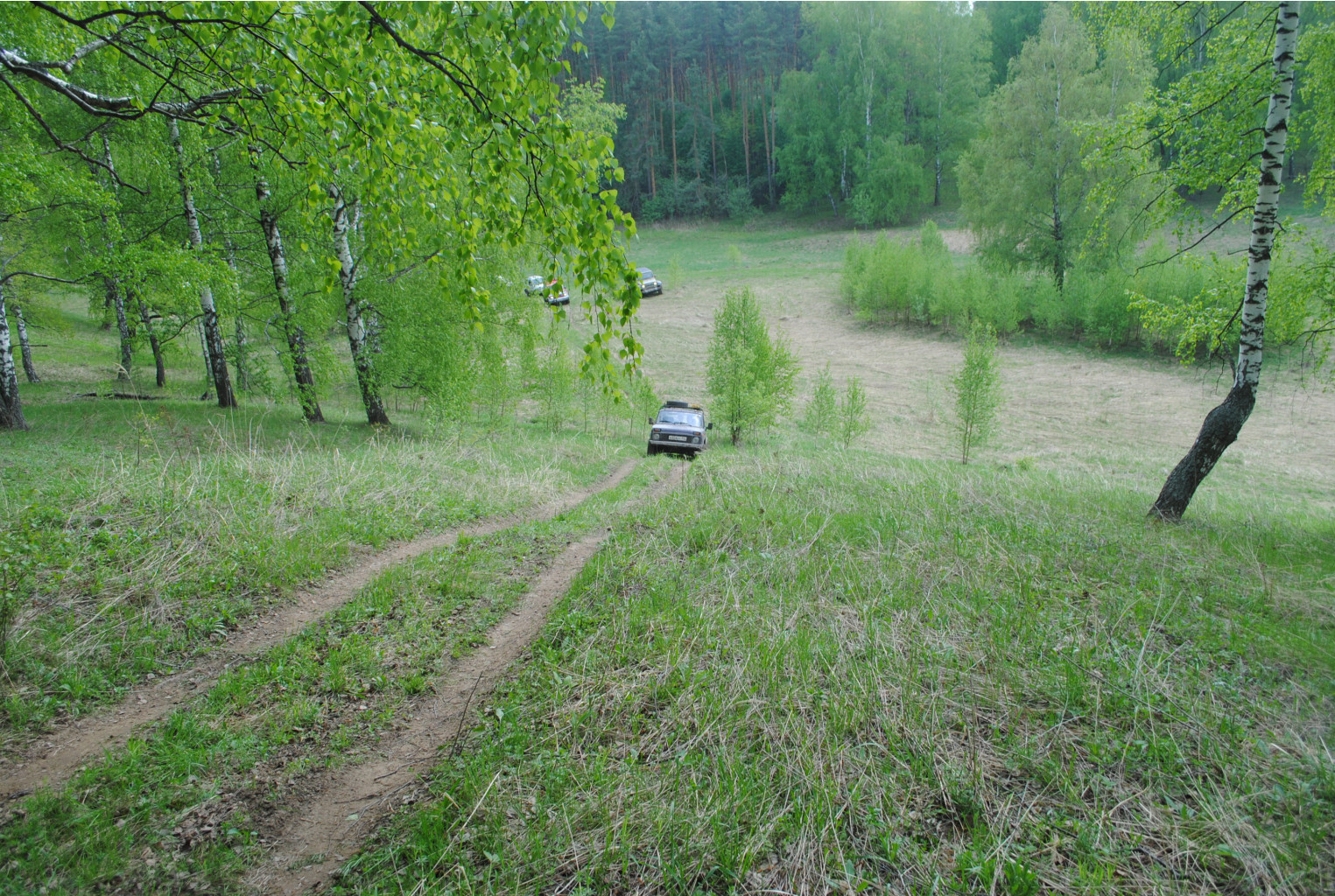 DSC_0111.jpg