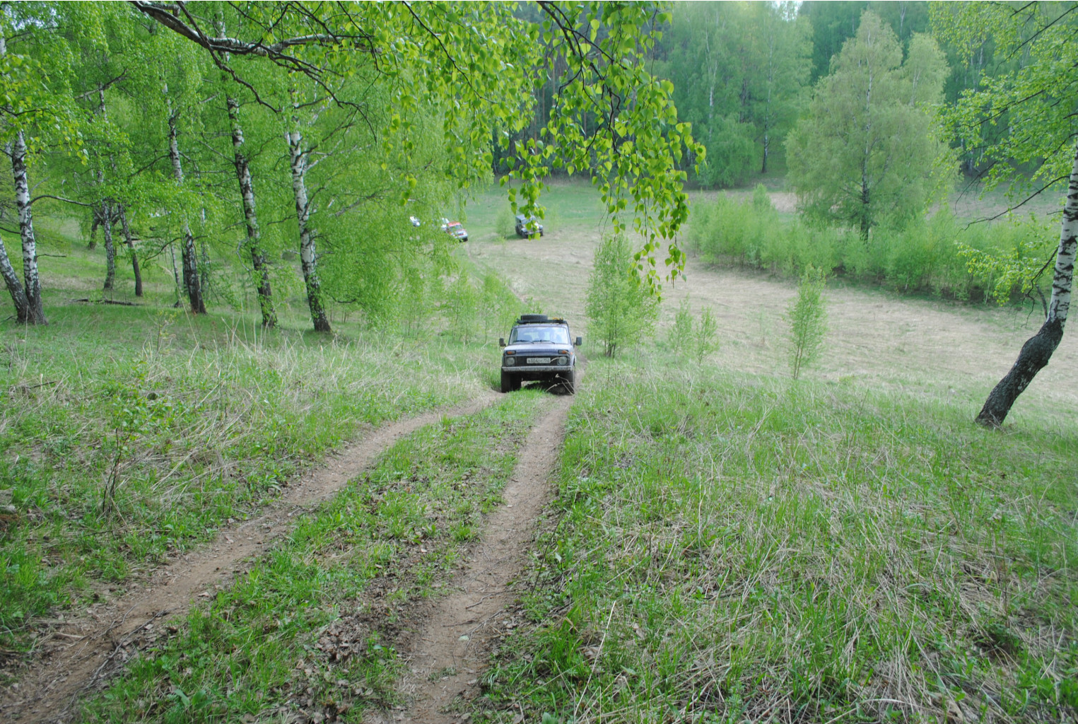 DSC_0115.jpg
