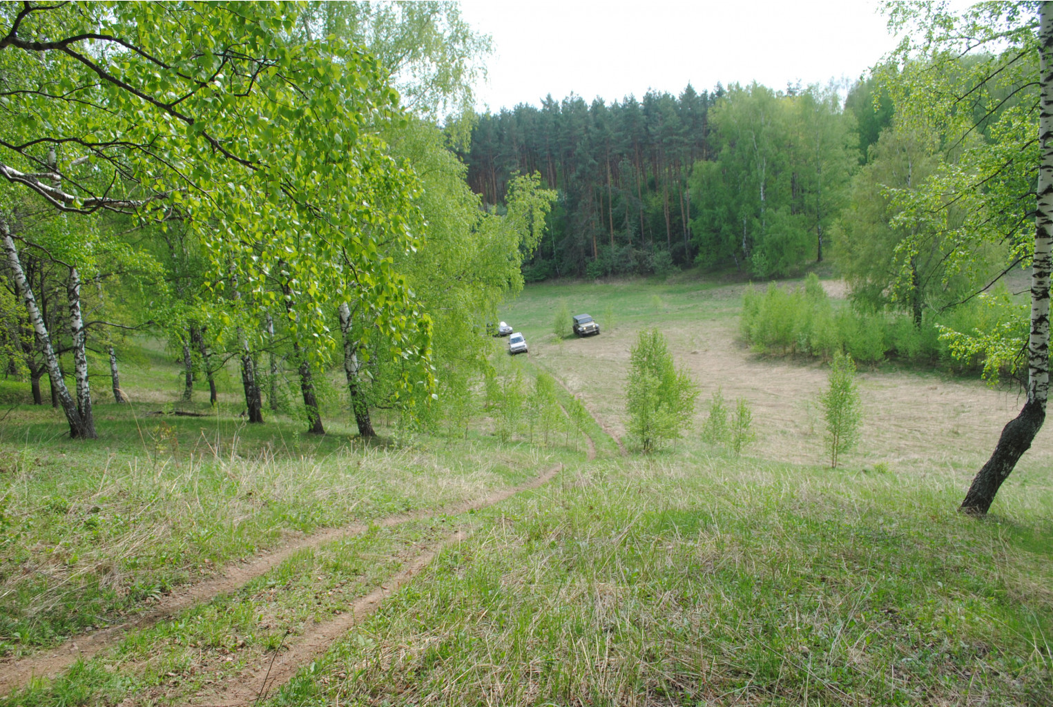 DSC_0124.jpg