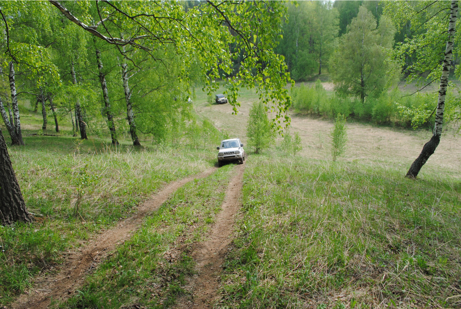 DSC_0127.jpg