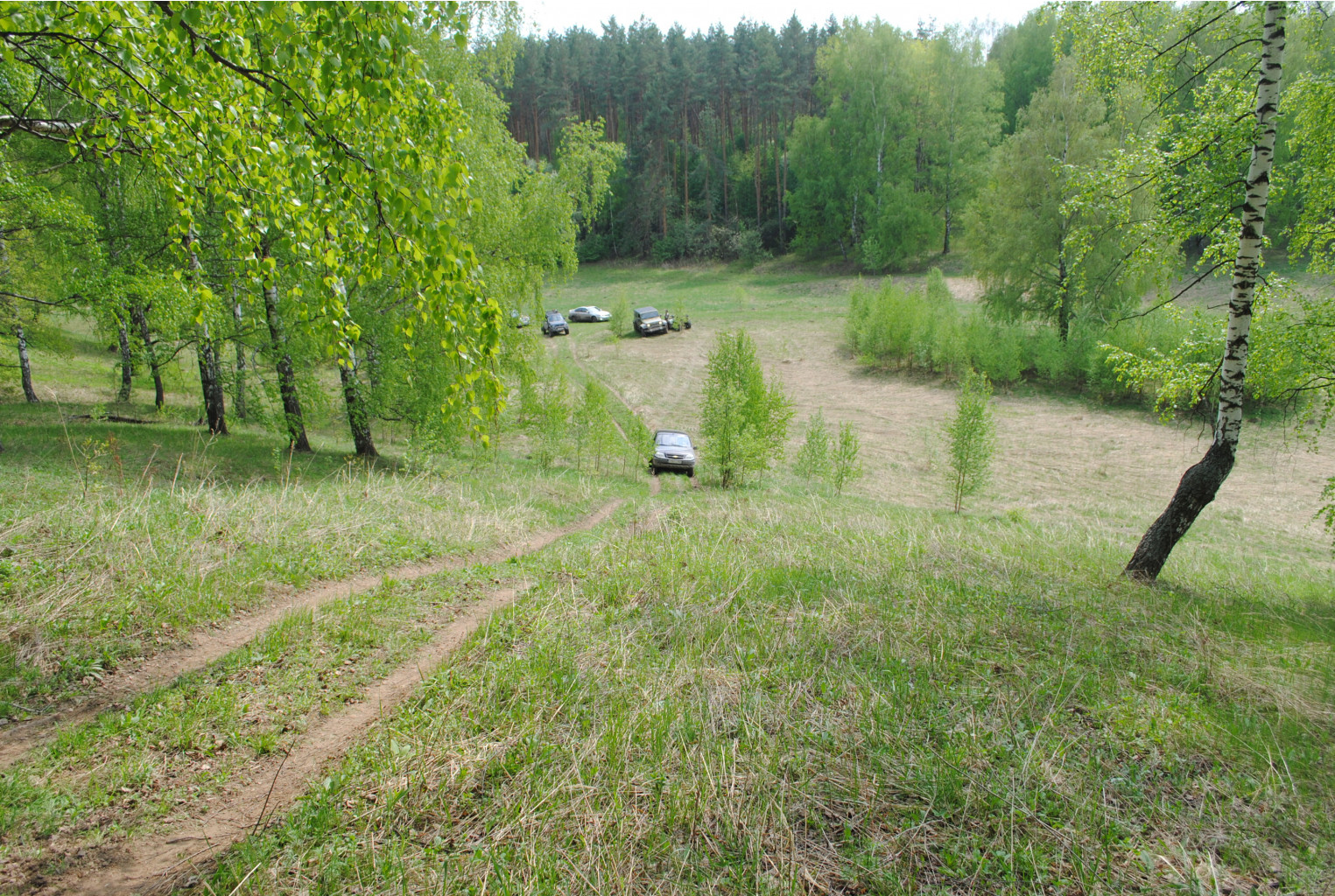 DSC_0133.jpg