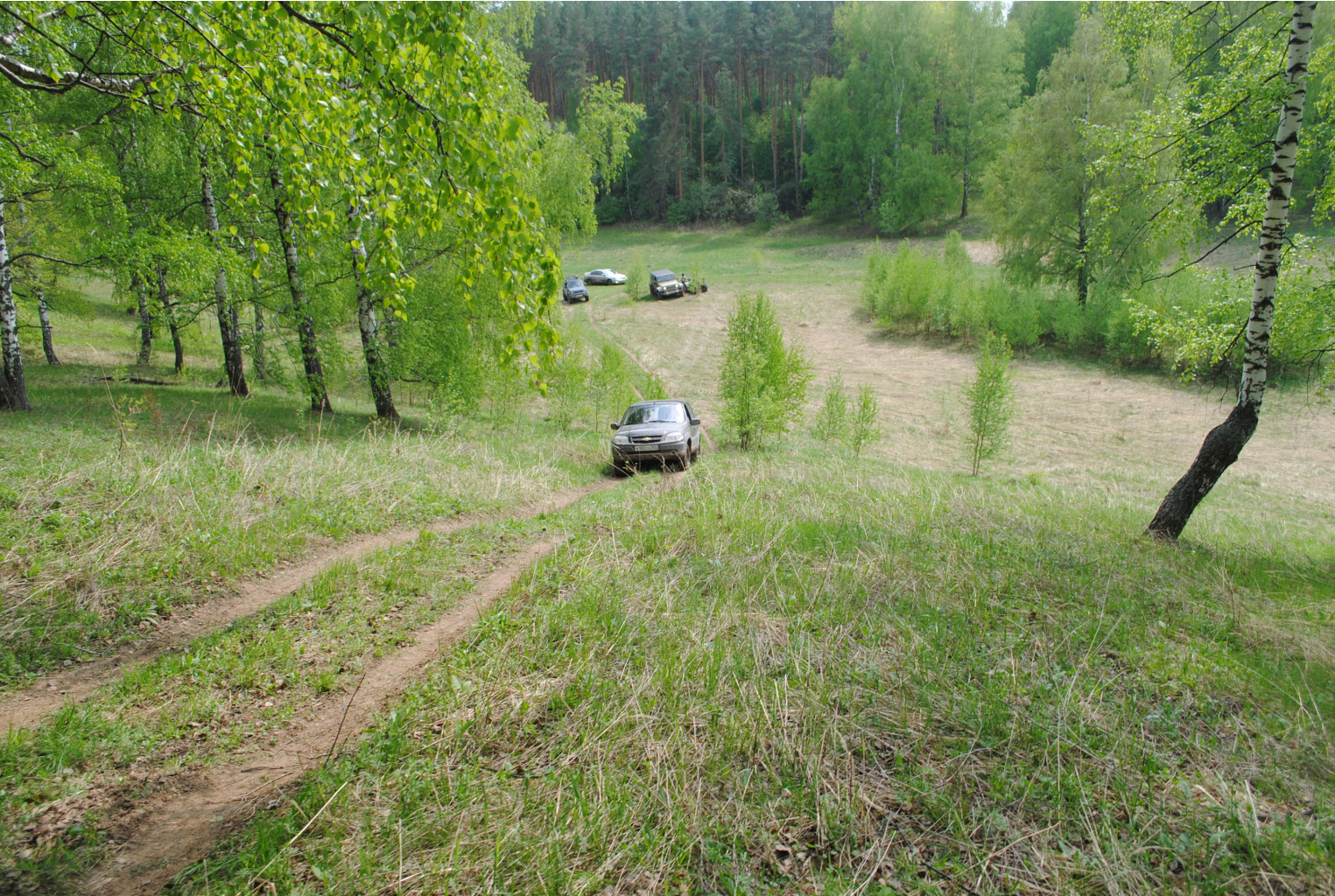 DSC_0134.jpg