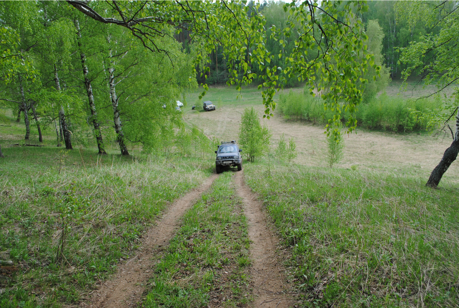 DSC_0141.jpg