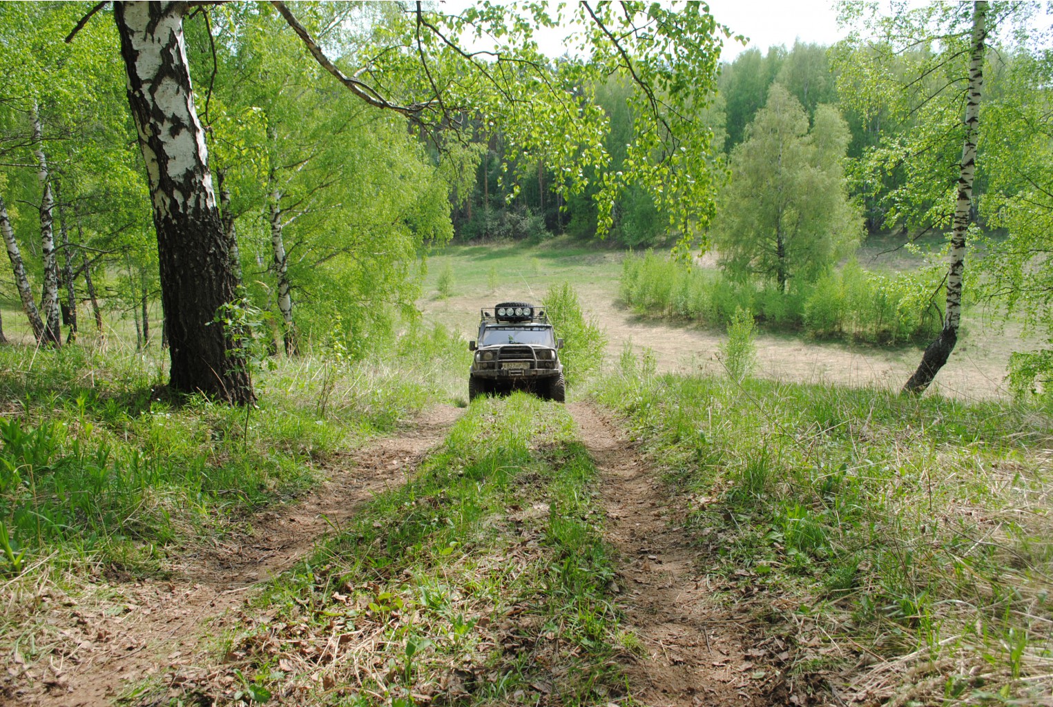 DSC_0172.jpg