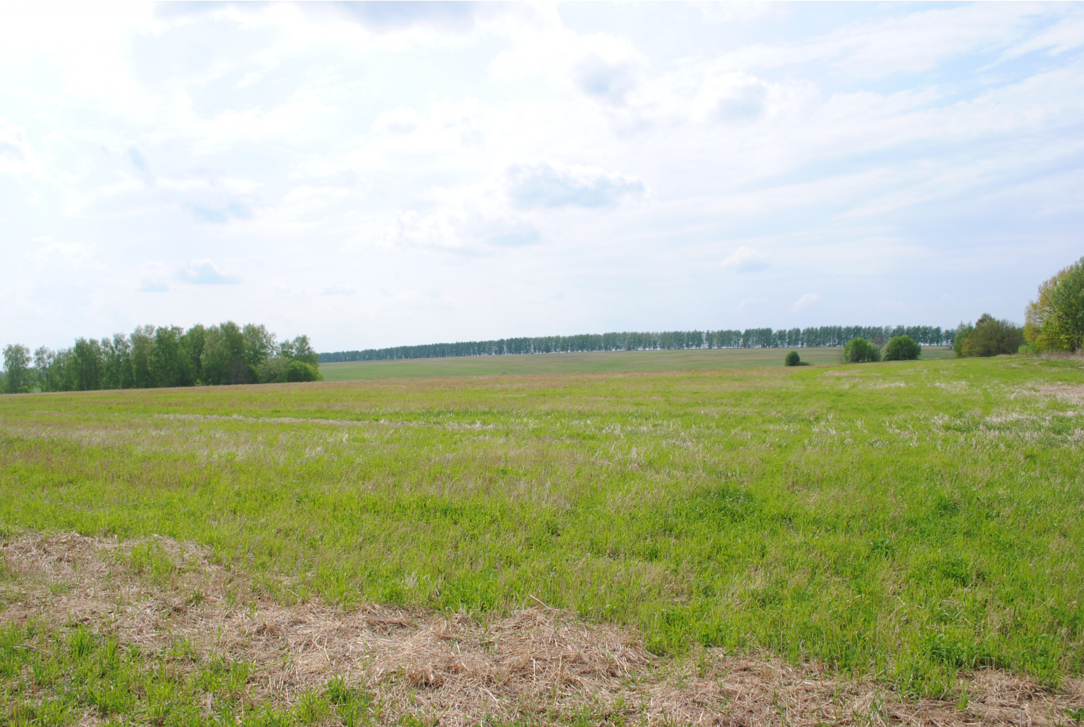 DSC_0186.jpg