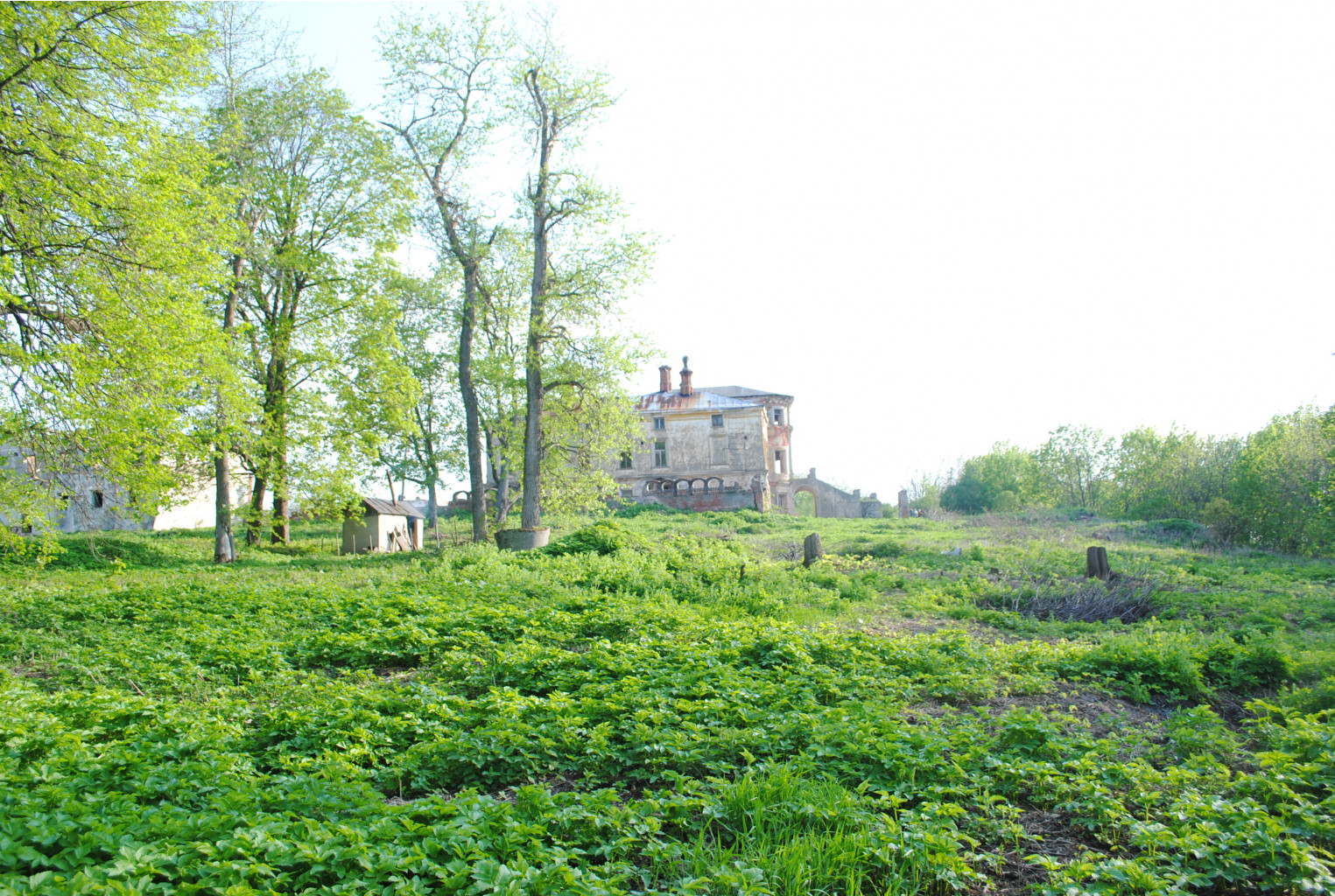 DSC_0228.jpg