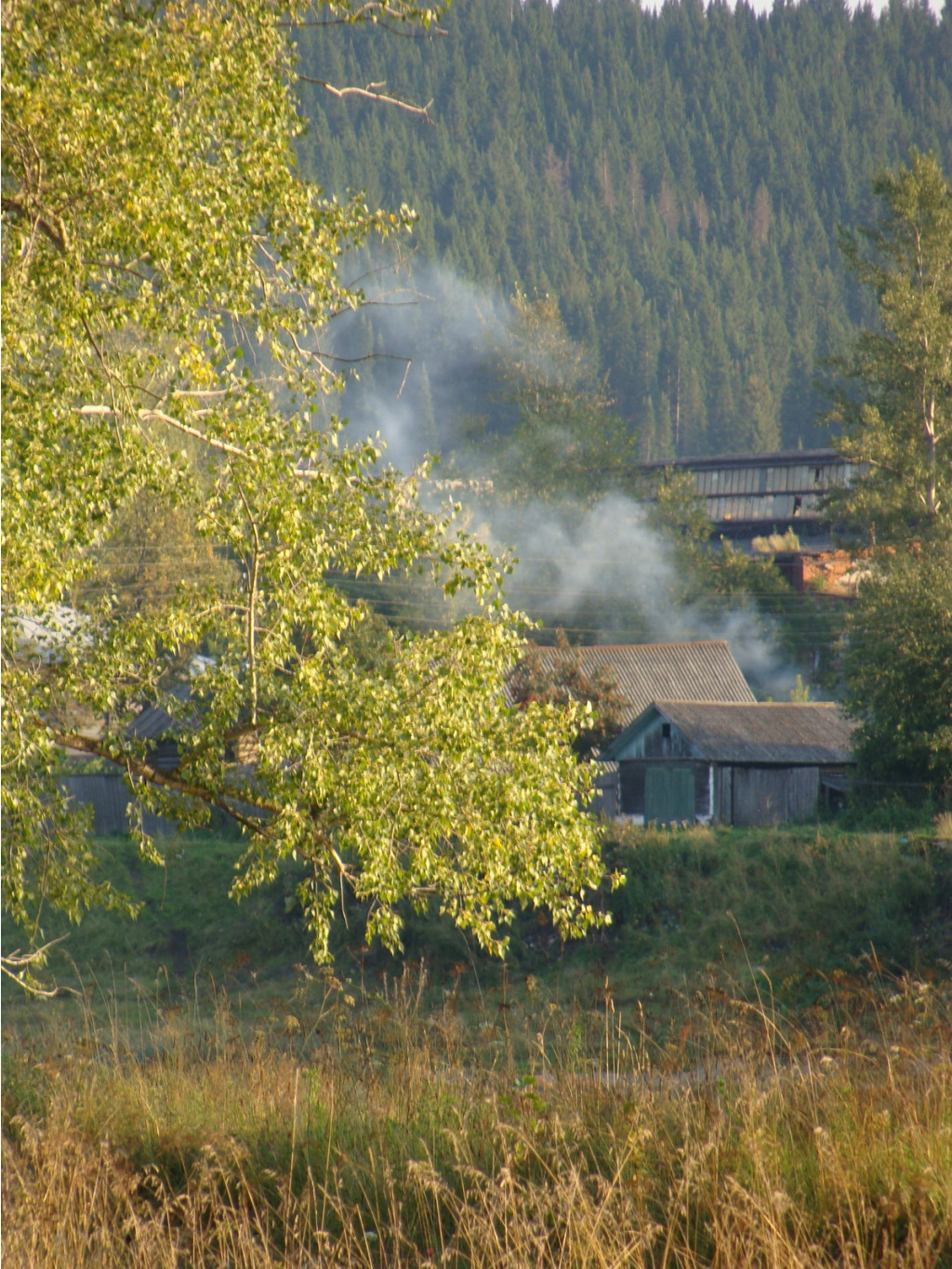DSC06470.JPG