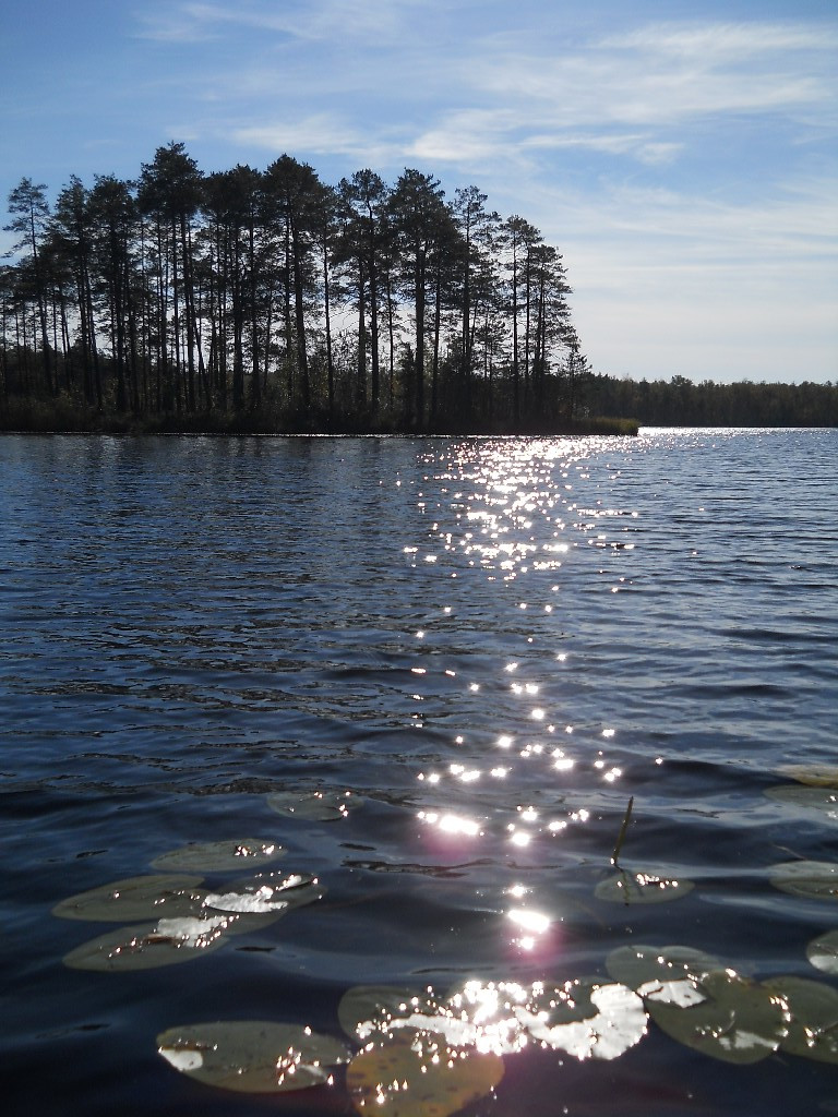27.09.2010 14:06:01