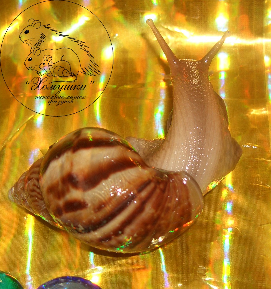 26.04.2009 21:50:28