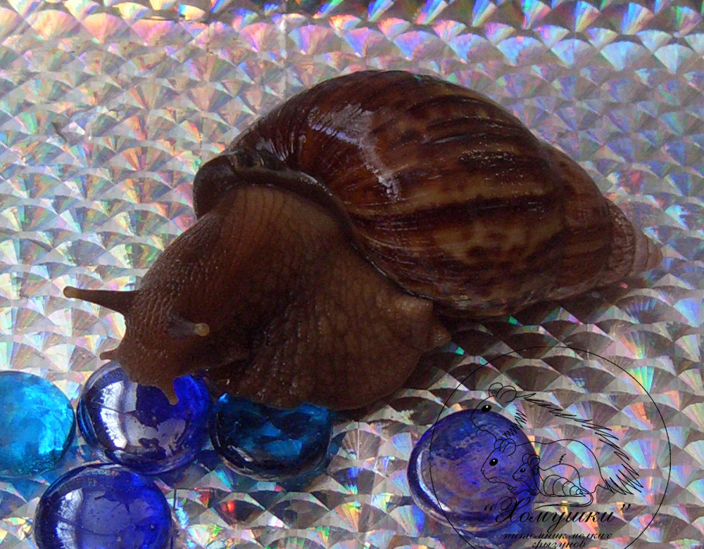26.04.2009 21:54:26