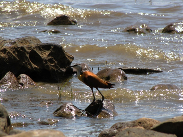 IMG_0282.JPG