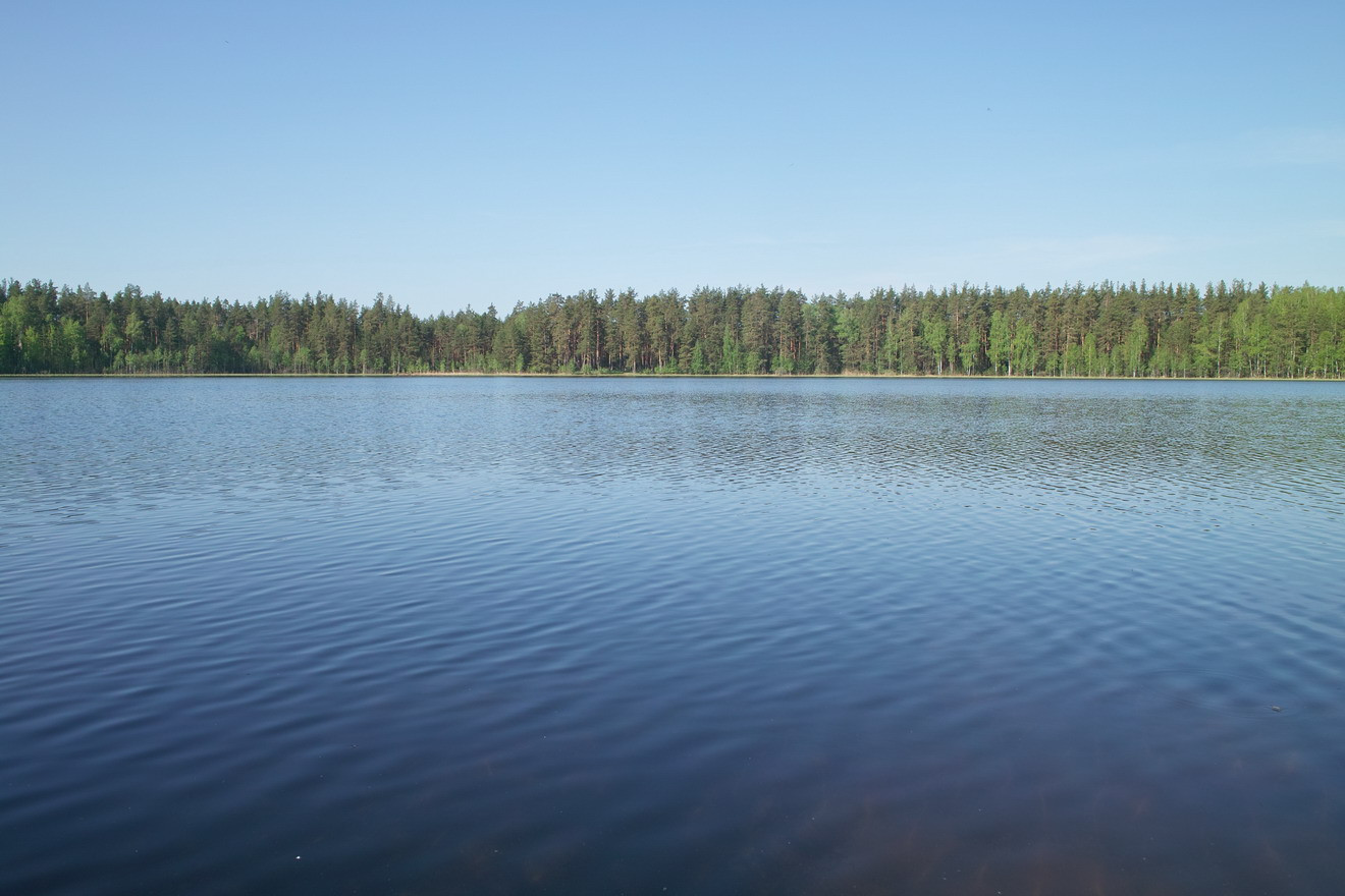 SDIM1621.jpg