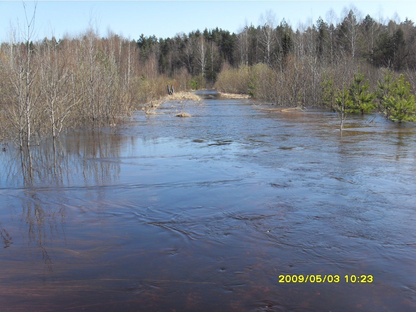 04.05.2009 0:46:51