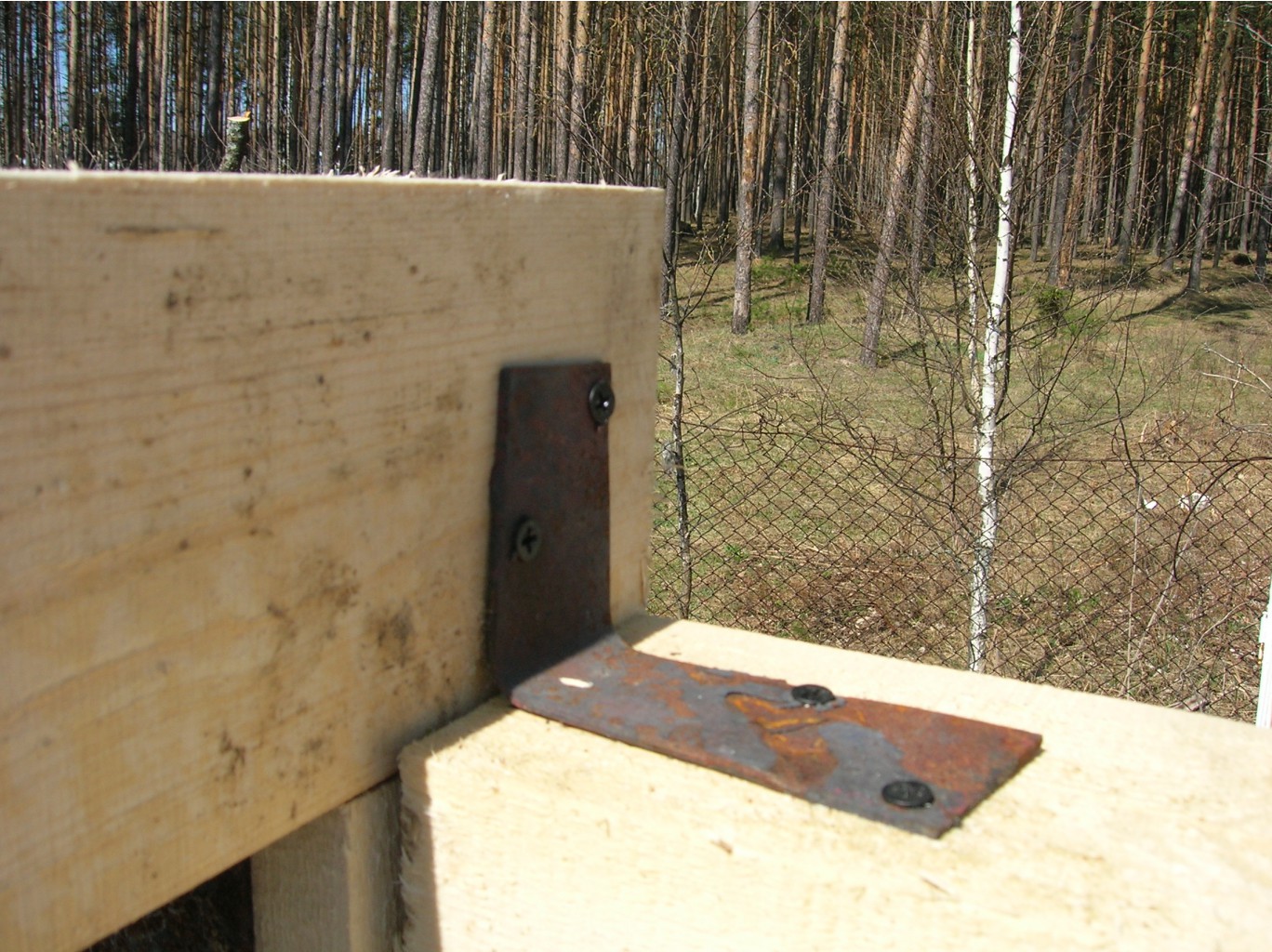 04.05.2009 10:31:38