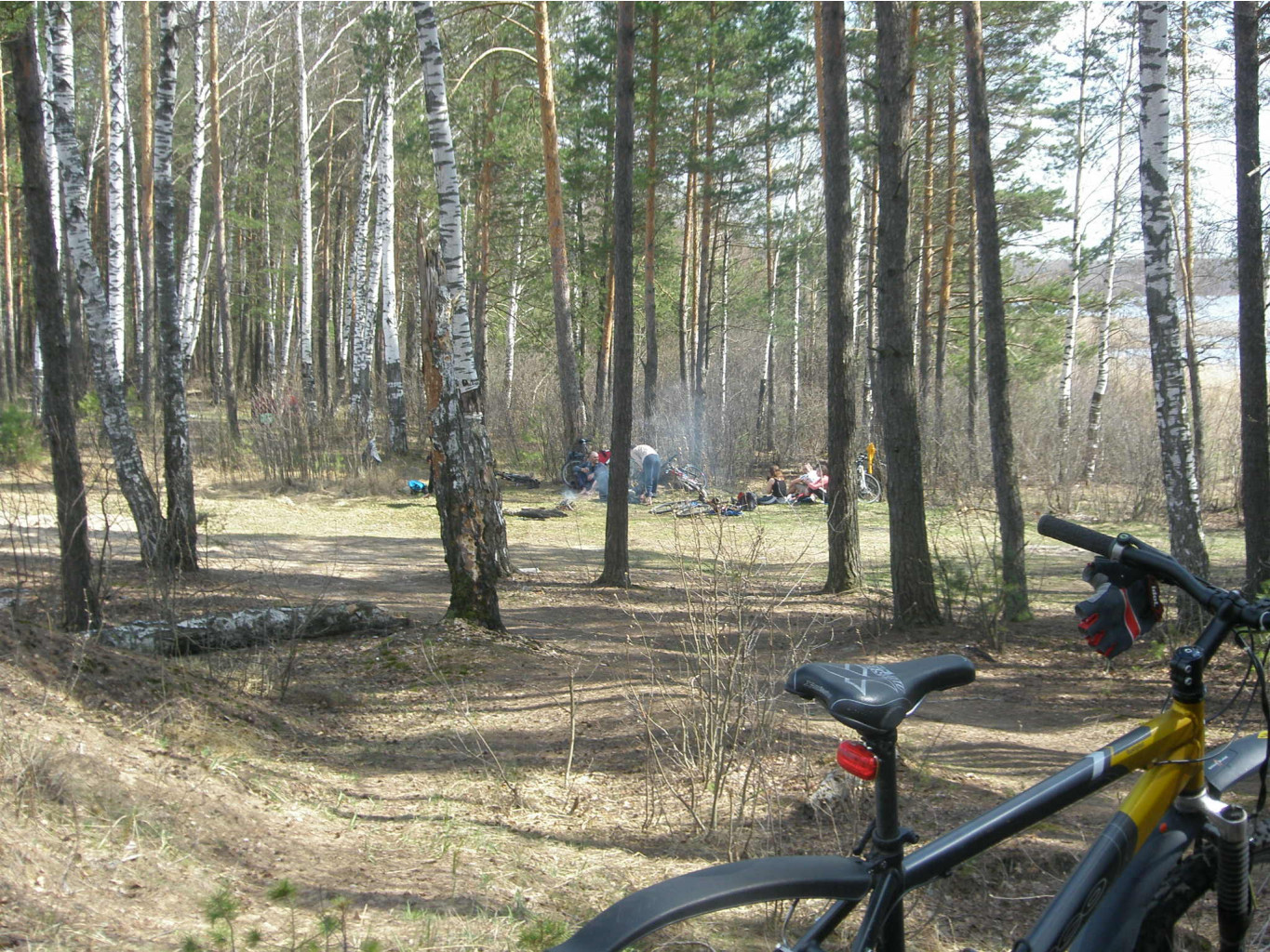 04.05.2009 11:50:52
