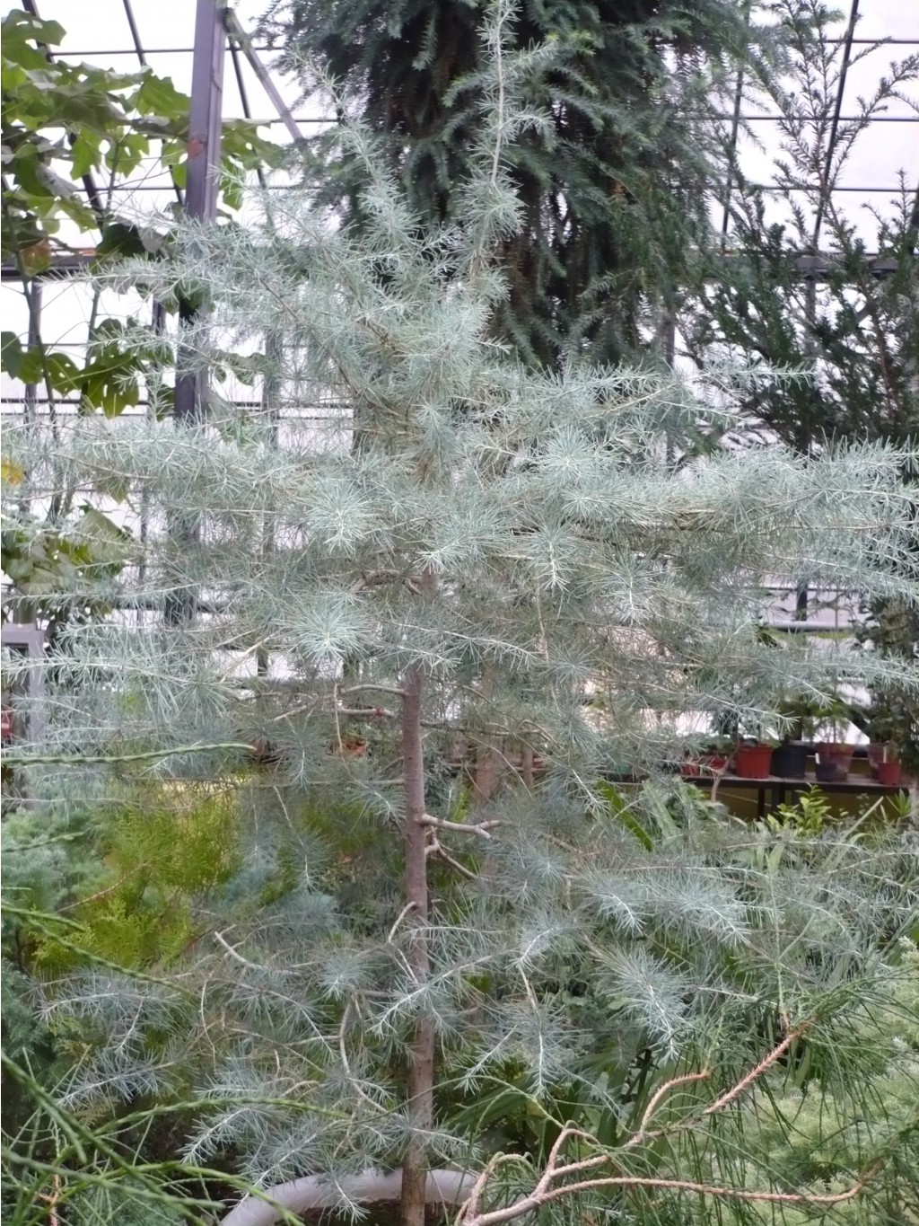 P1030346.JPG