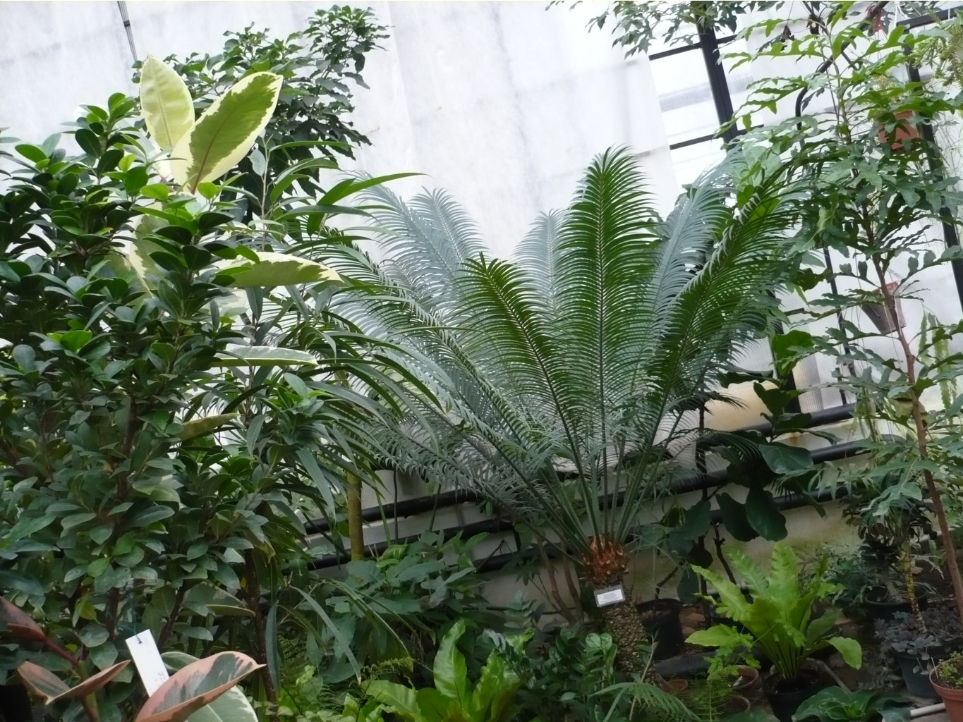 P1030373.JPG