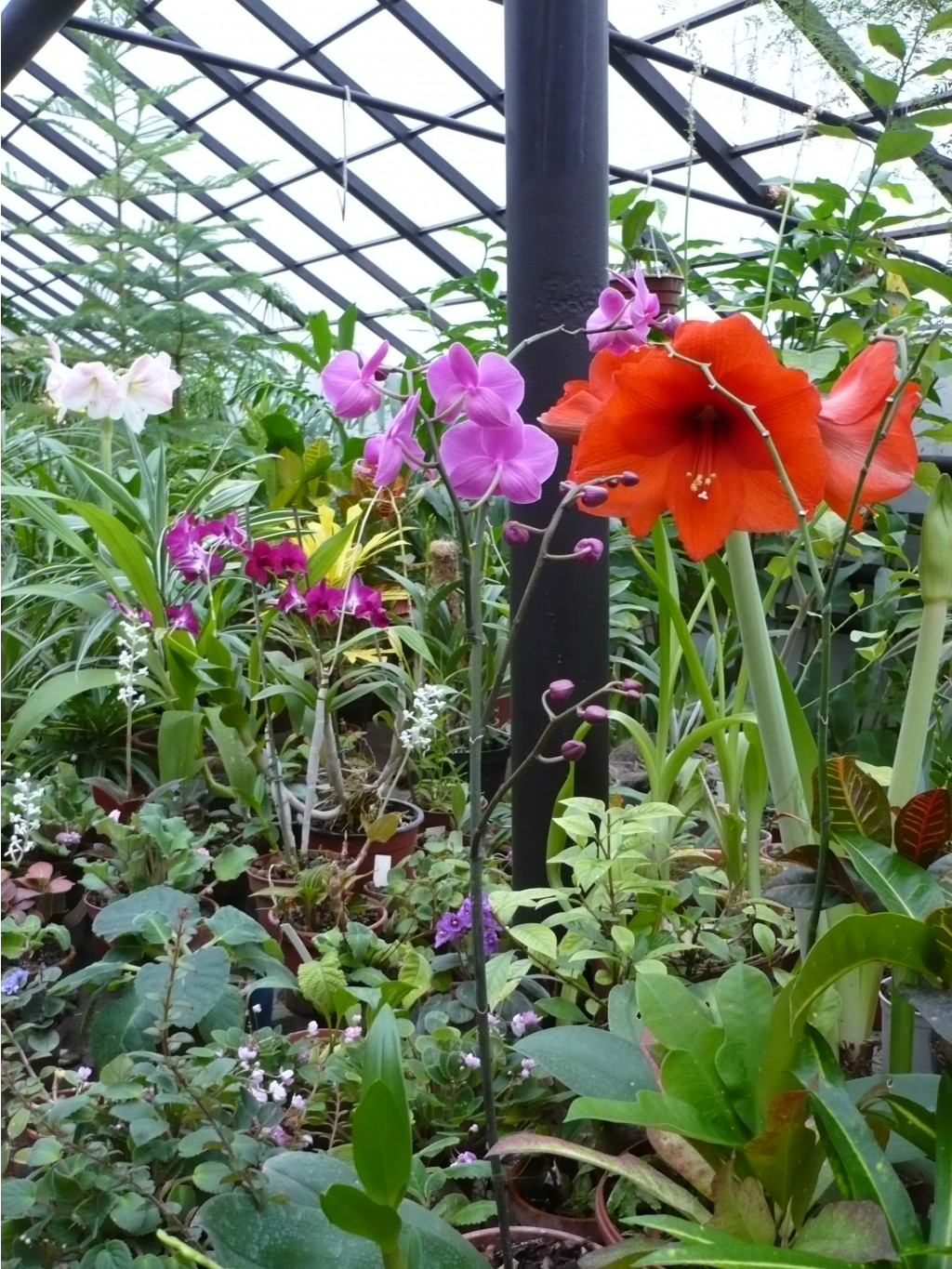 P1030376.JPG