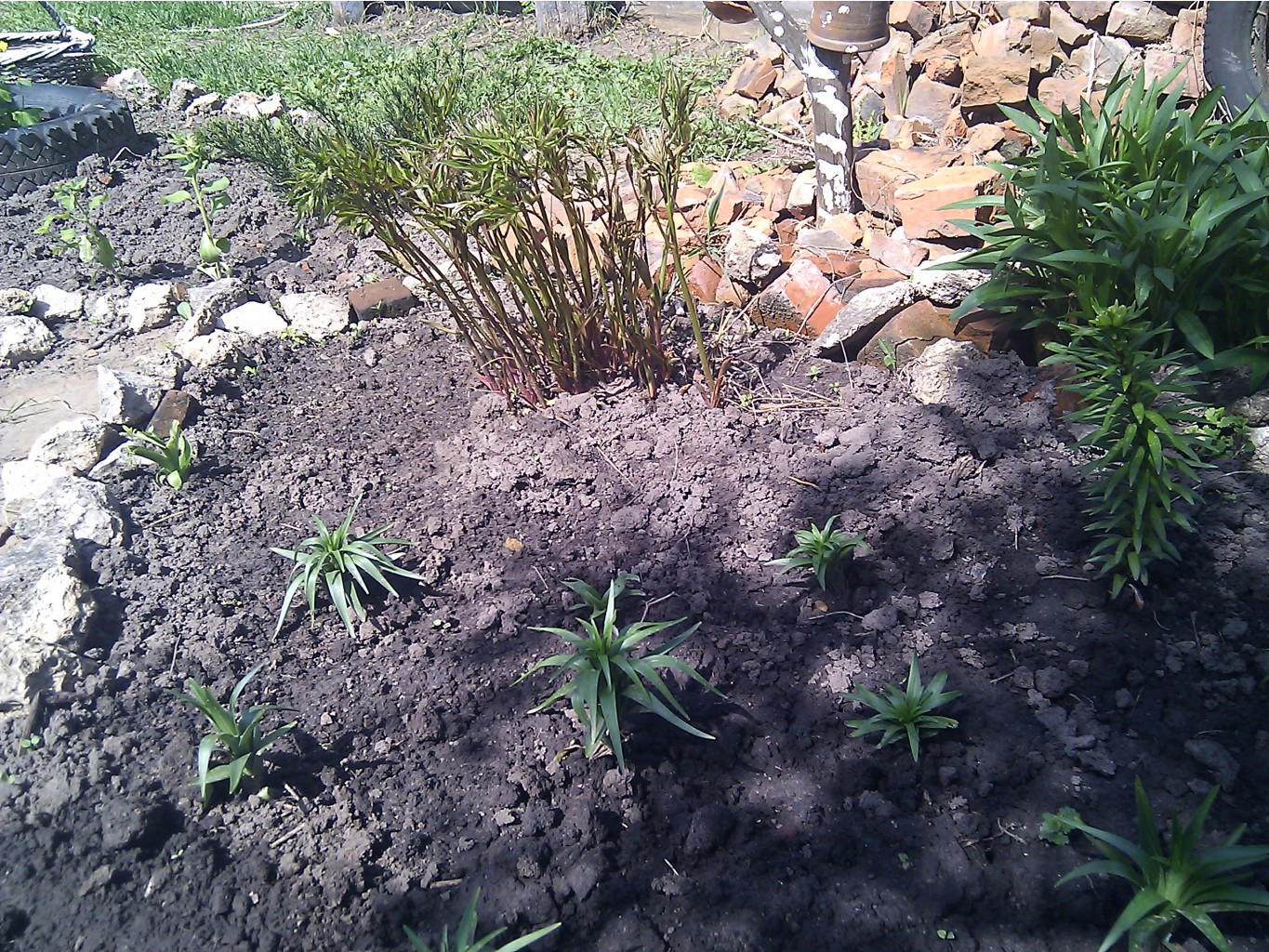 2012-05-09 12.22.28.jpg