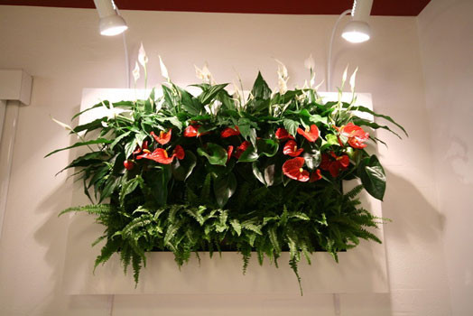 Фото9.jpg