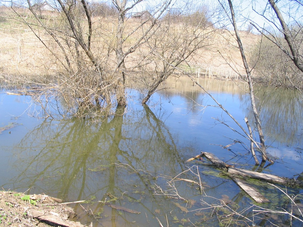 04.05.2009 21:02:43