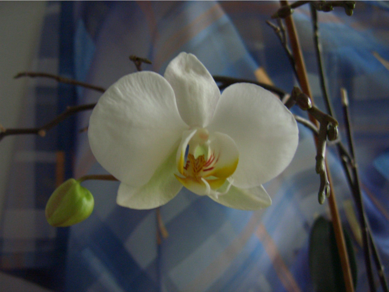     03.2007