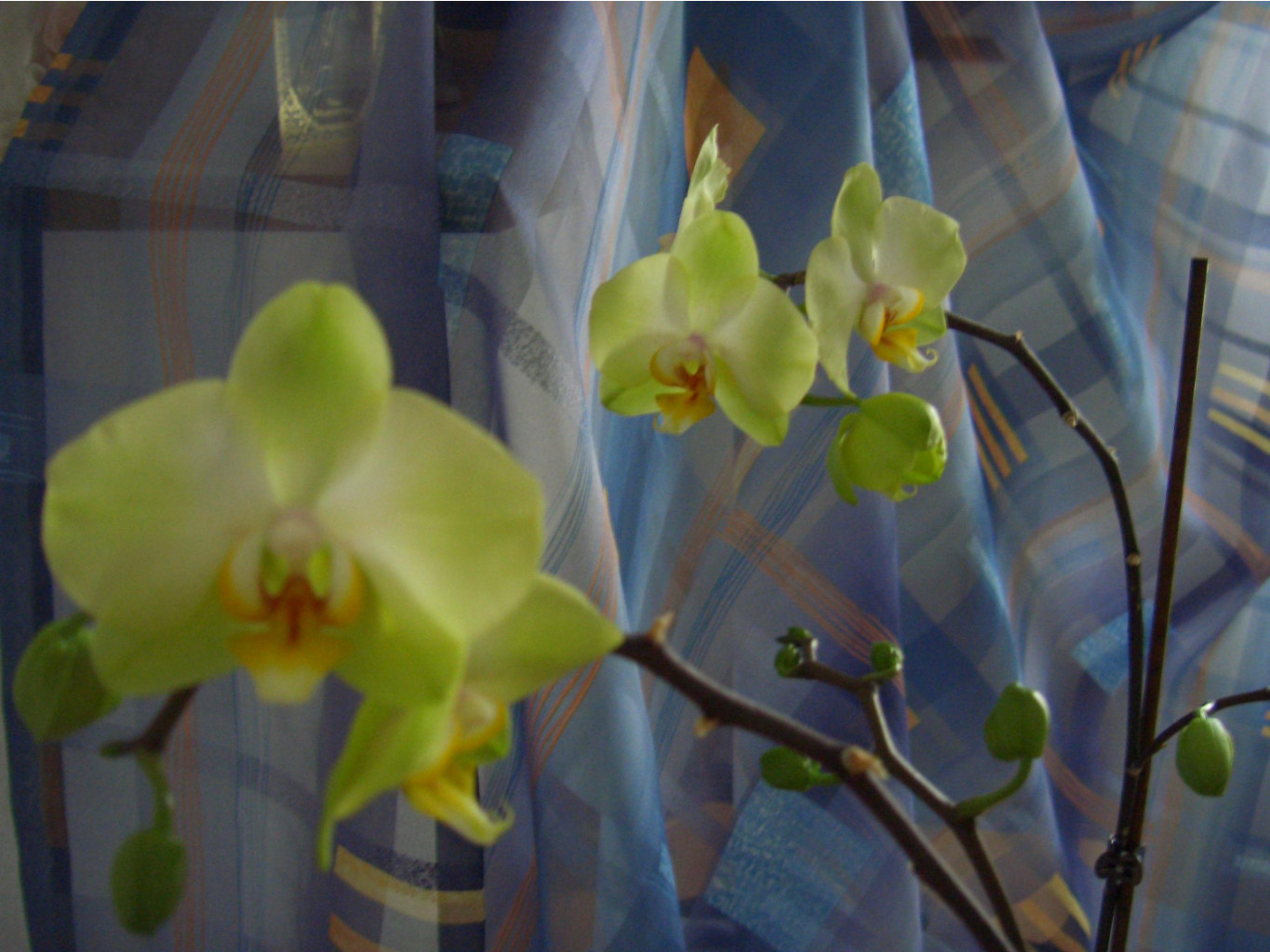     03.2007