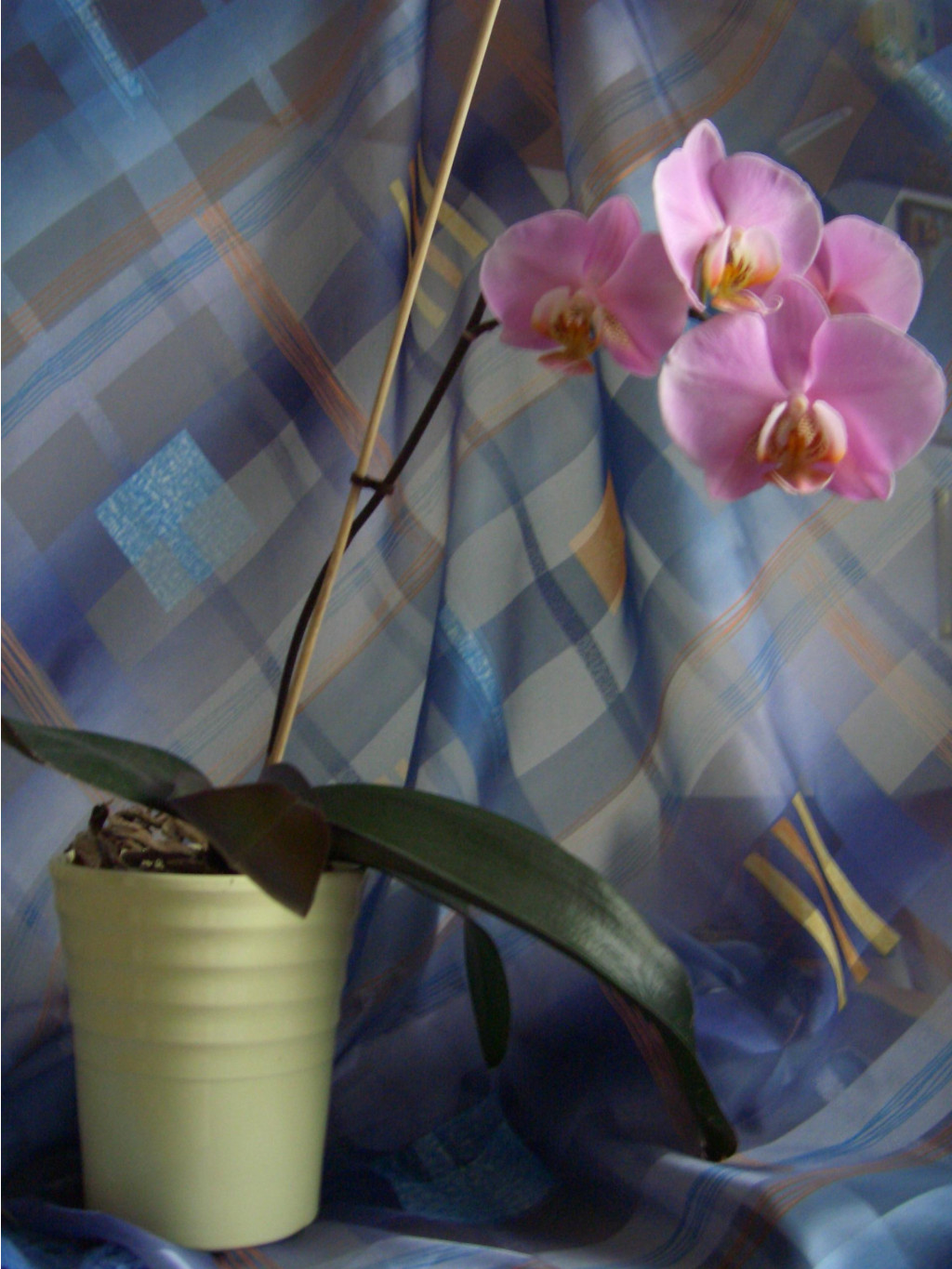     03.2007